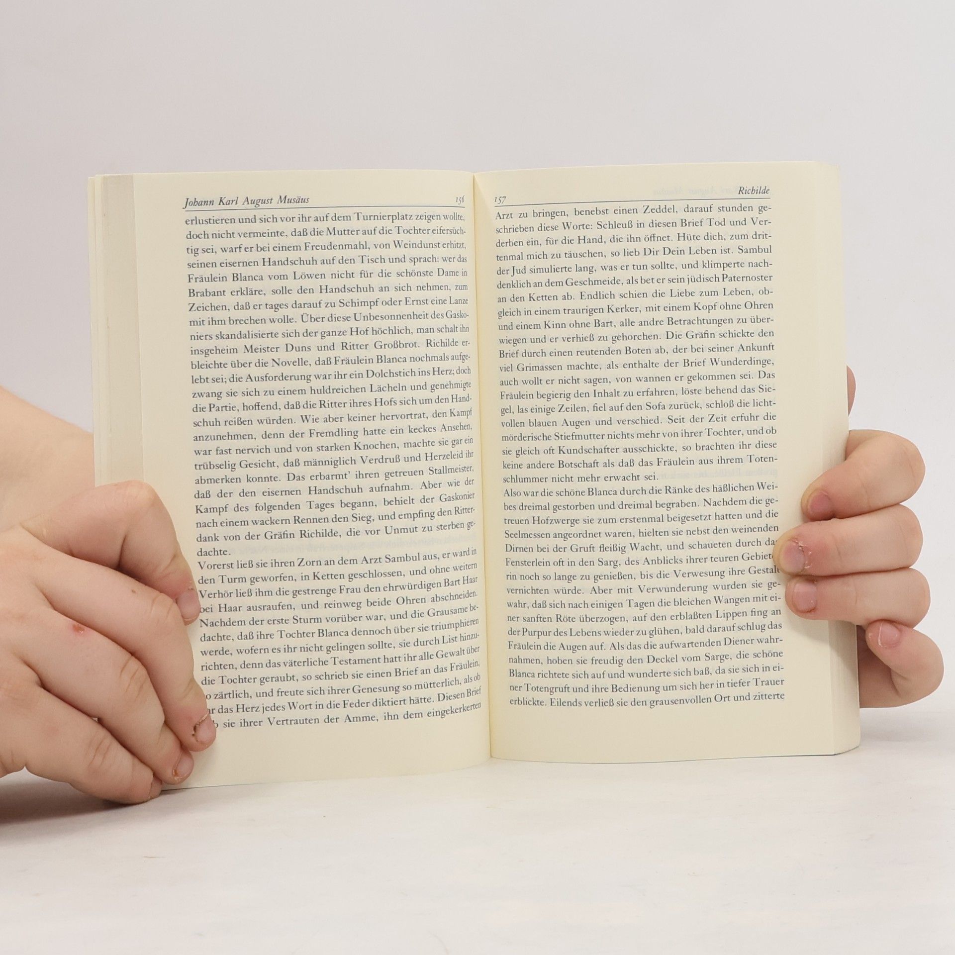 Paul Wolfgang Wührl Insel Taschenbuch - 1: Im magischen Spiegel