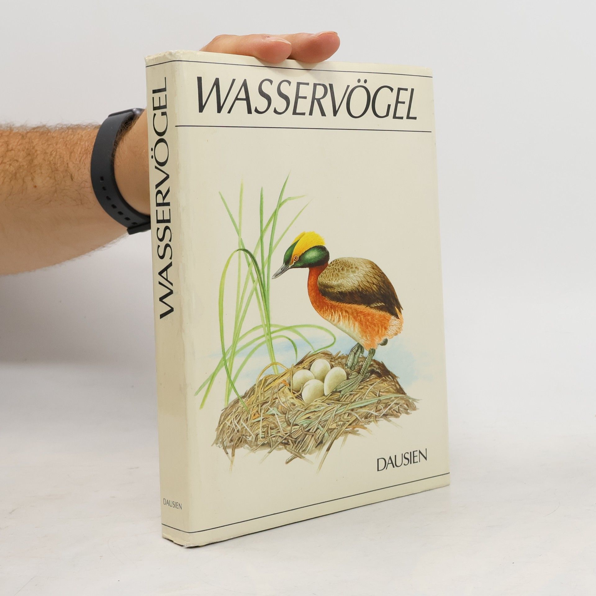 Karel Šťastný Wasservögel