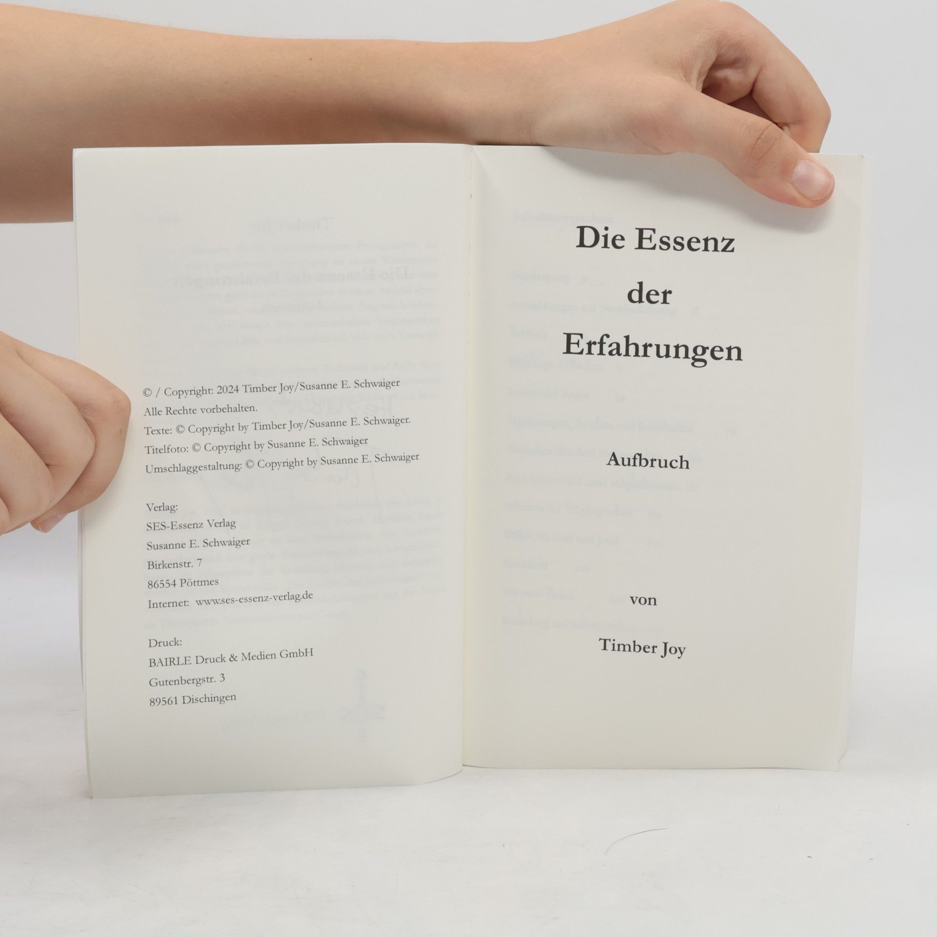 Timber Joy Die Essenz der Erfahrungen Aufbruch