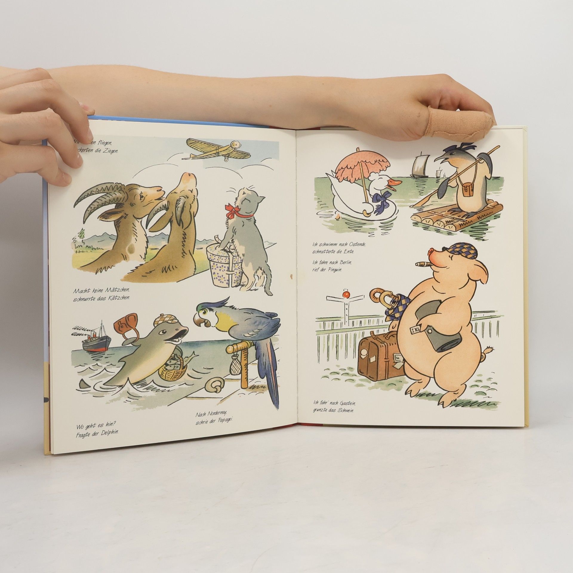 C. O. Petersen Die Reise der Tiere