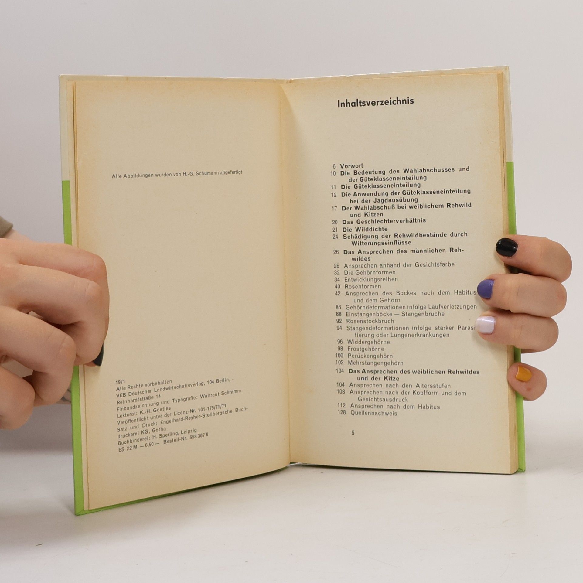 Autorenkollektiv Ansprechen des Rehwildes