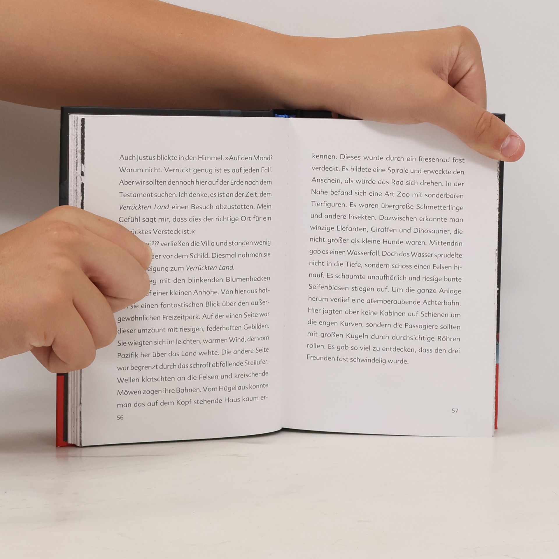 Ulf Blanck Die drei ??? Kids, Das verrückteste Buch aller Zeiten