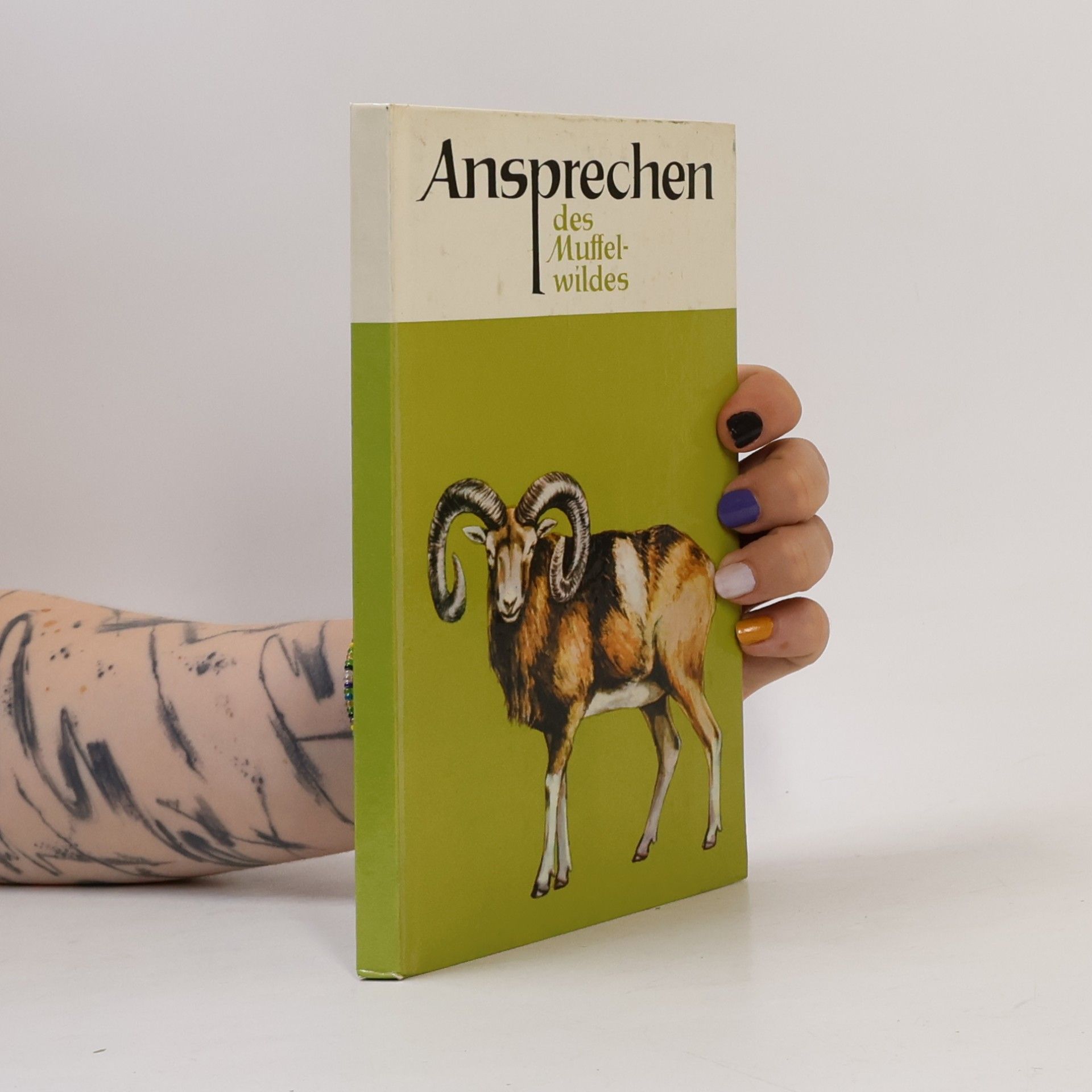 Heinz Lamster Ansprechen des Muffelwildes
