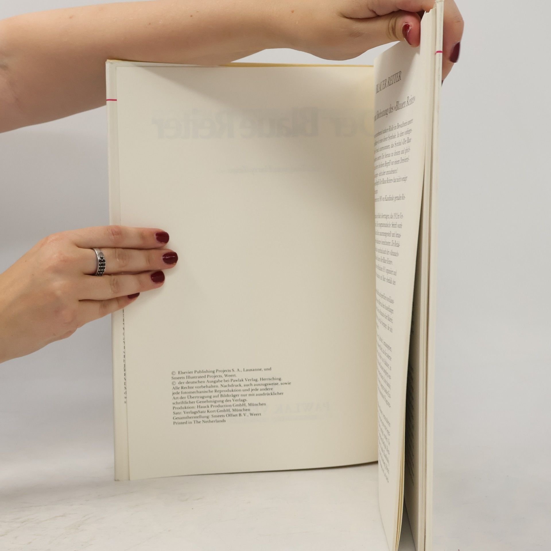 Autorenkollektiv Der Blaue Reiter