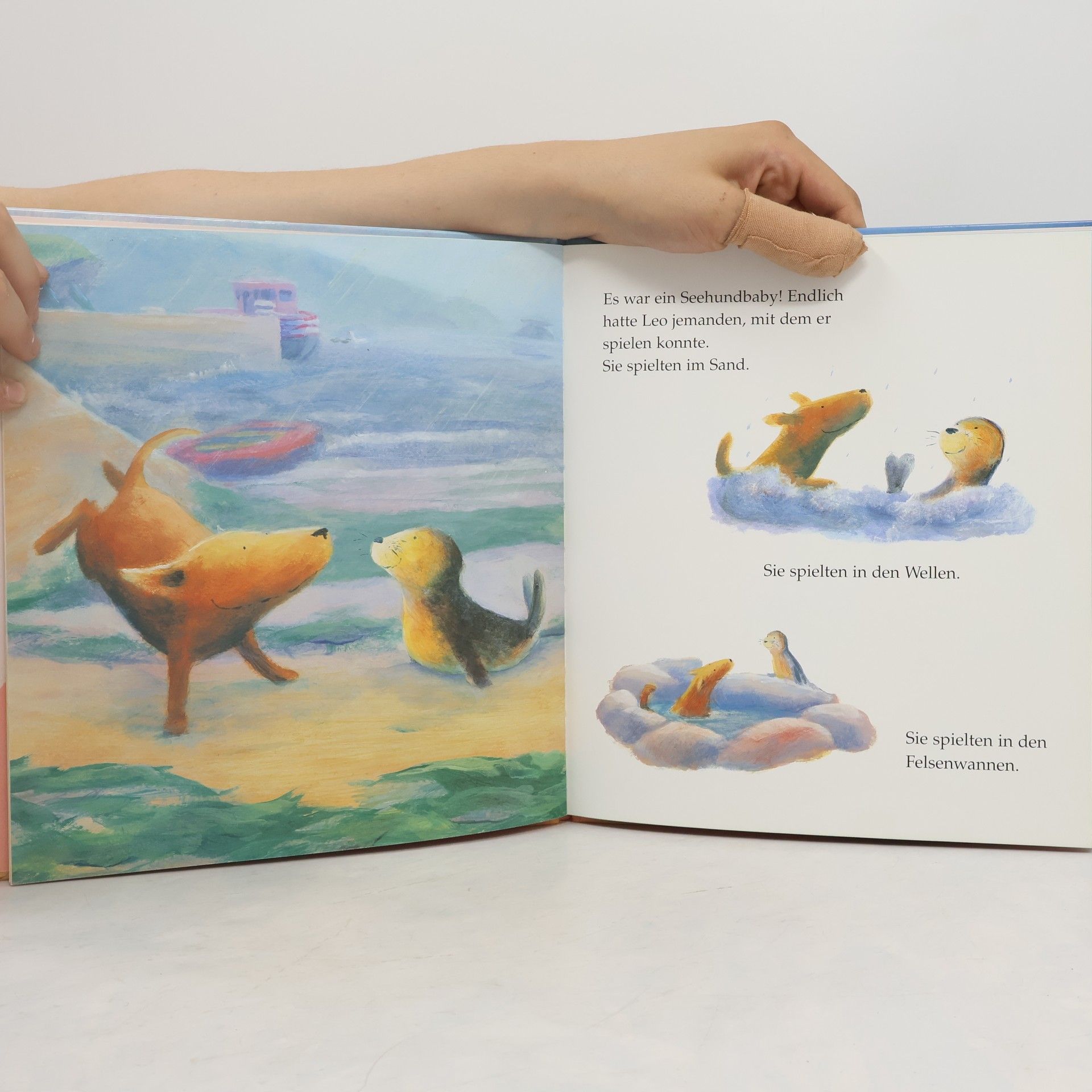 Jane Simmons Leo und das Seehundbaby