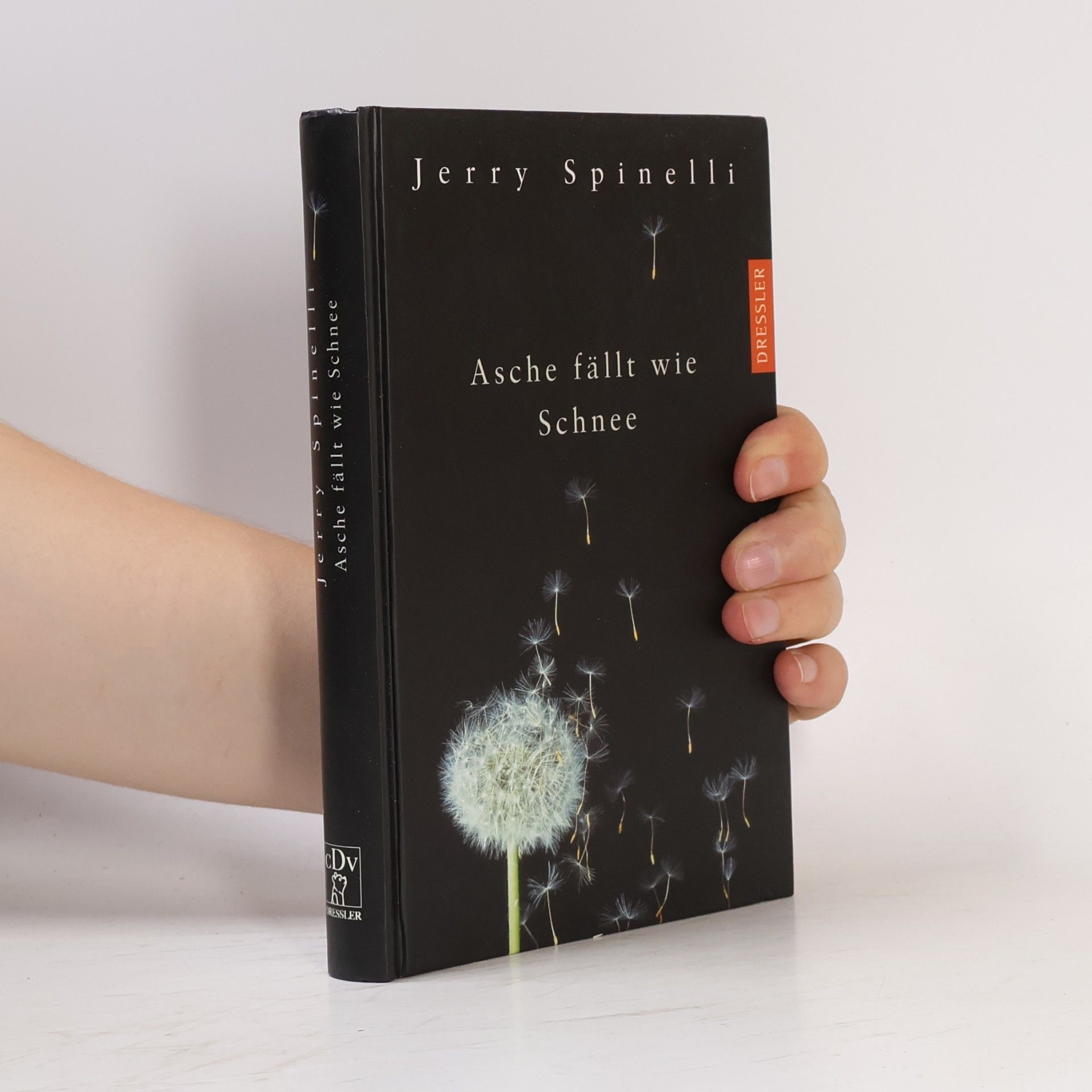 Jerry Spinelli Asche fällt wie Schnee