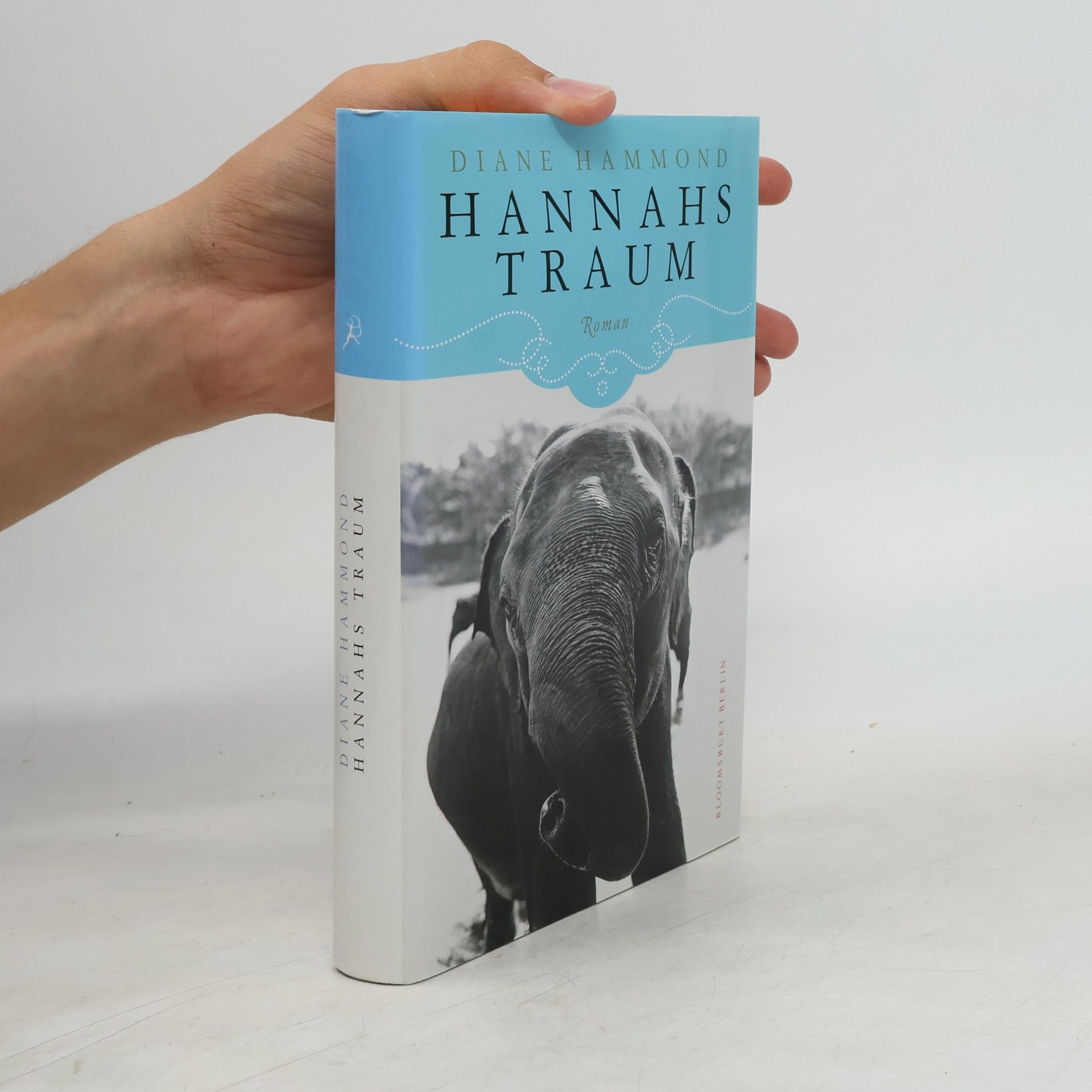Diane Hammond Hannahs Traum
