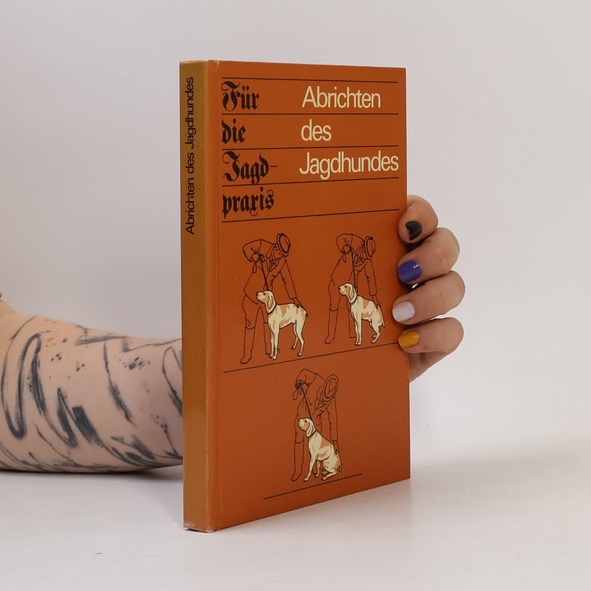 Autorenkollektiv Abrichten des Jagdhundes