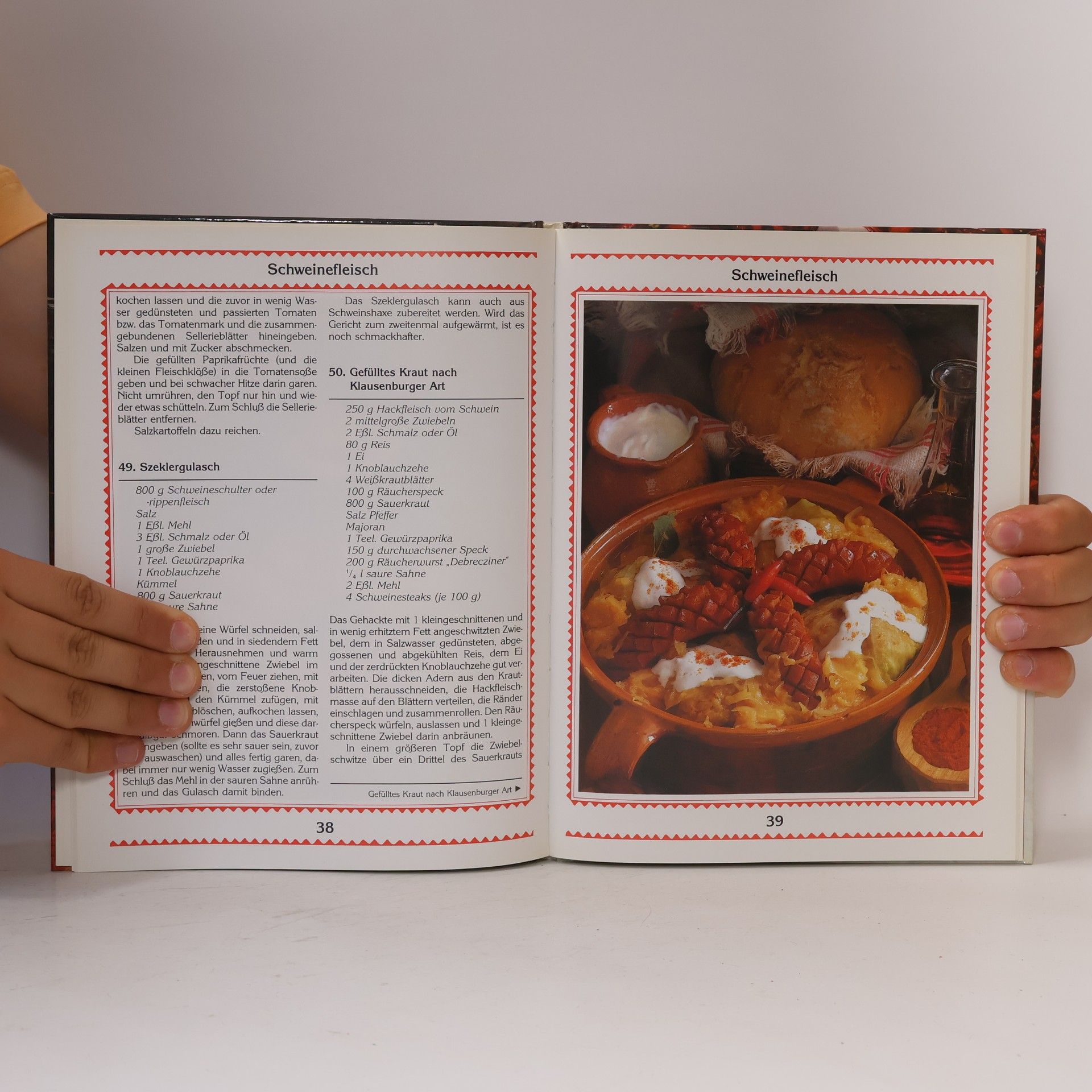 Buntes ungarisches Kochbuch