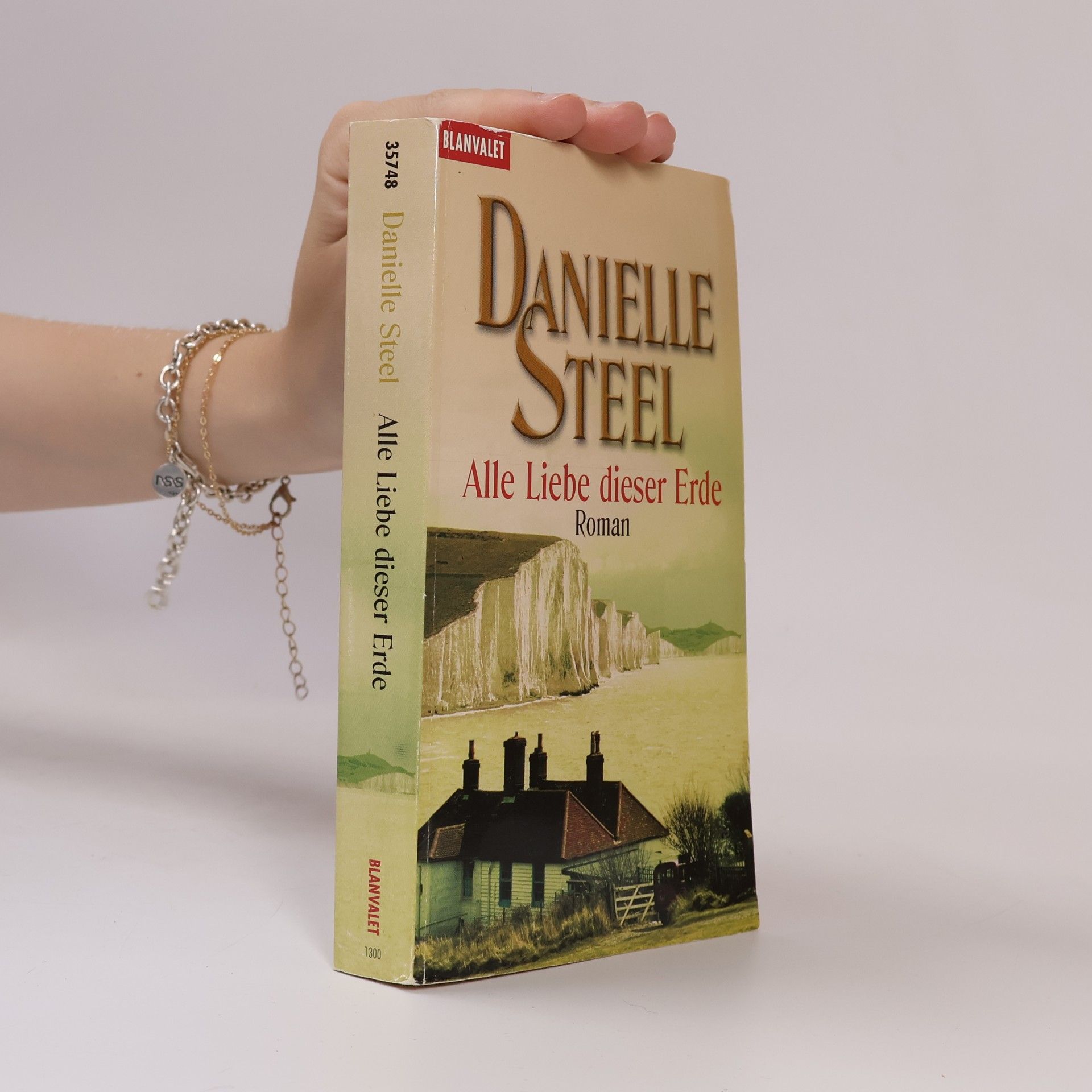 Danielle Steel Alle Liebe dieser Erde
