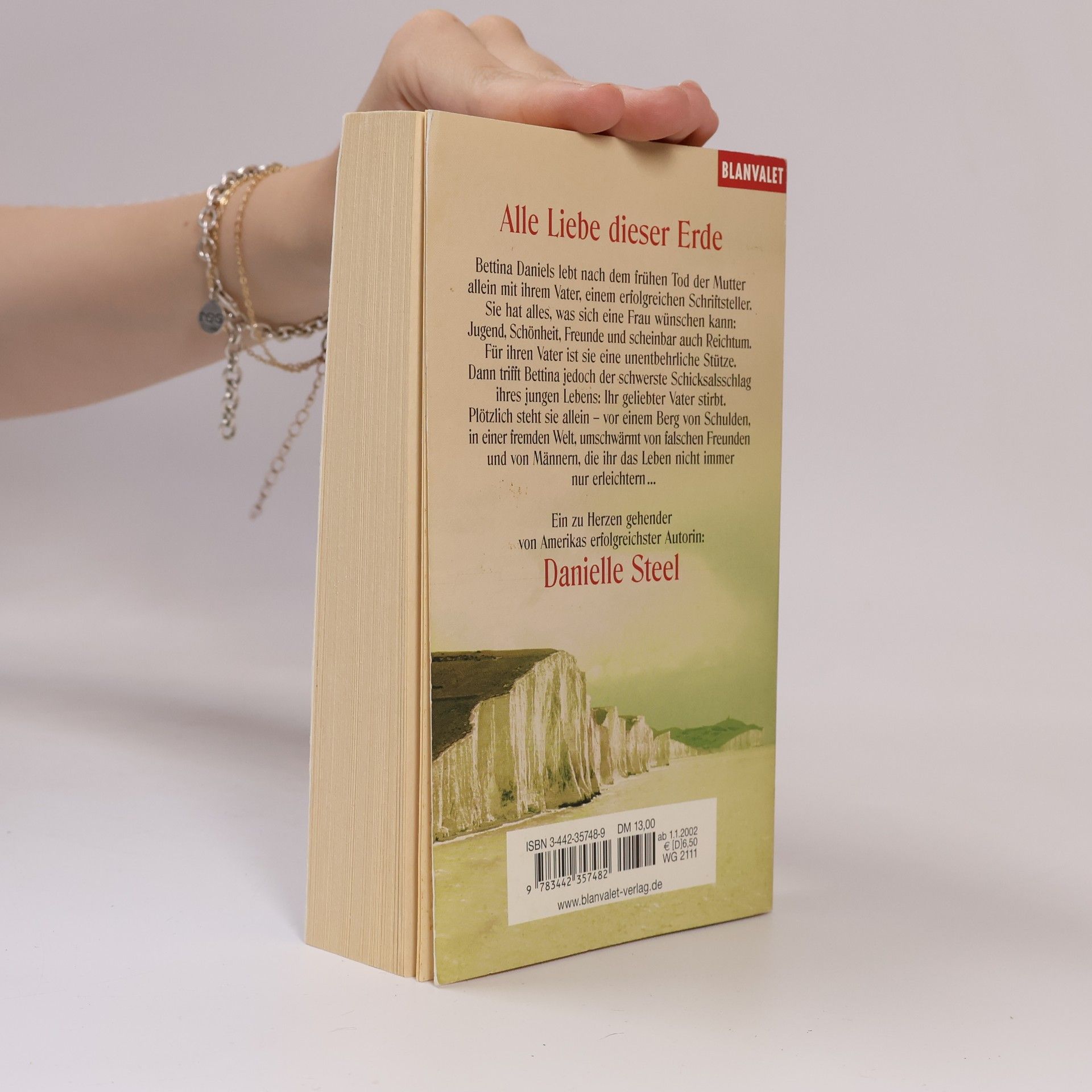 Danielle Steel Alle Liebe dieser Erde