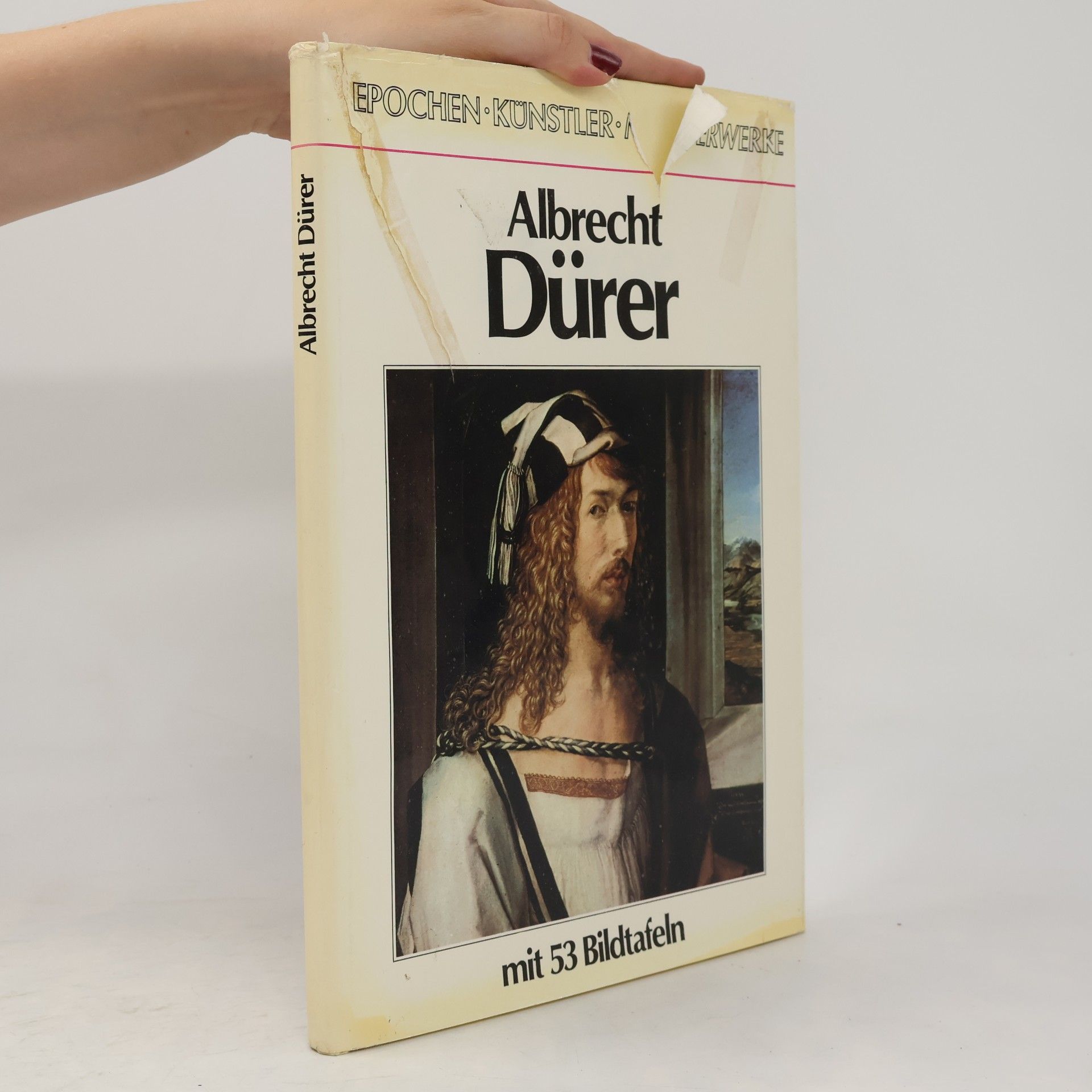 Kolektív autorov Albrecht Dürer