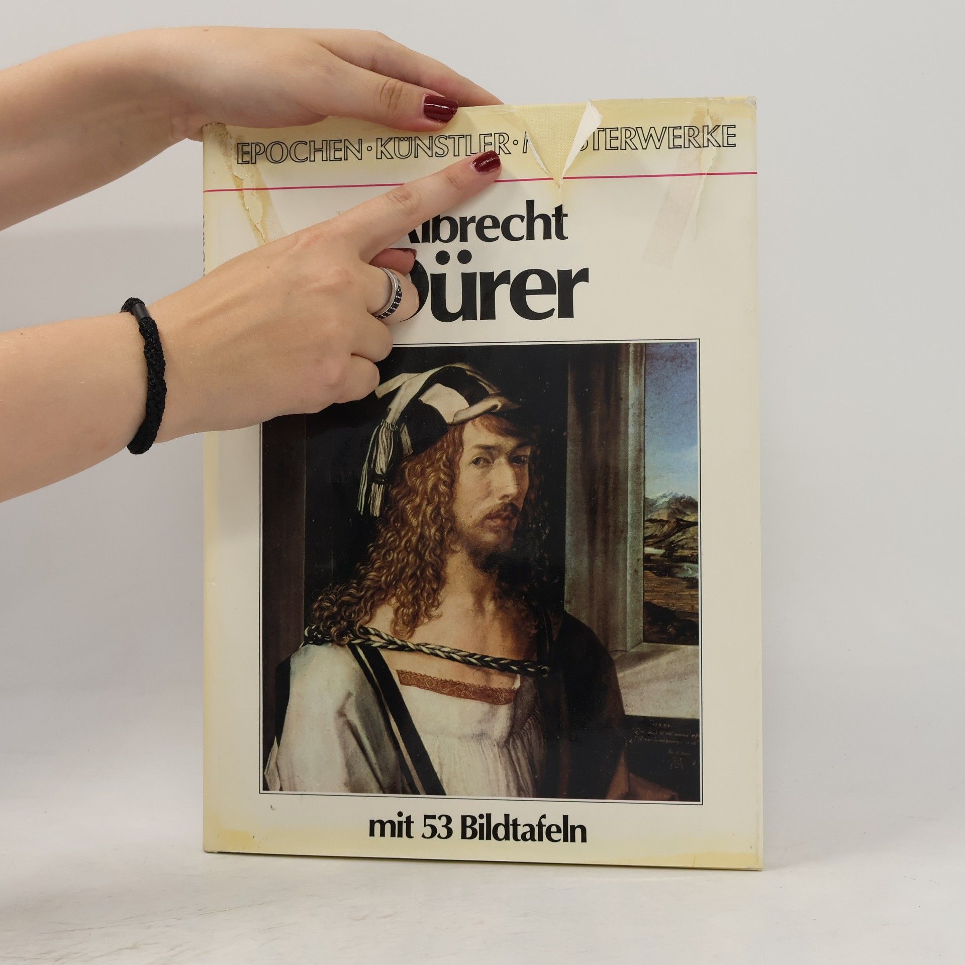 Kolektív autorov Albrecht Dürer