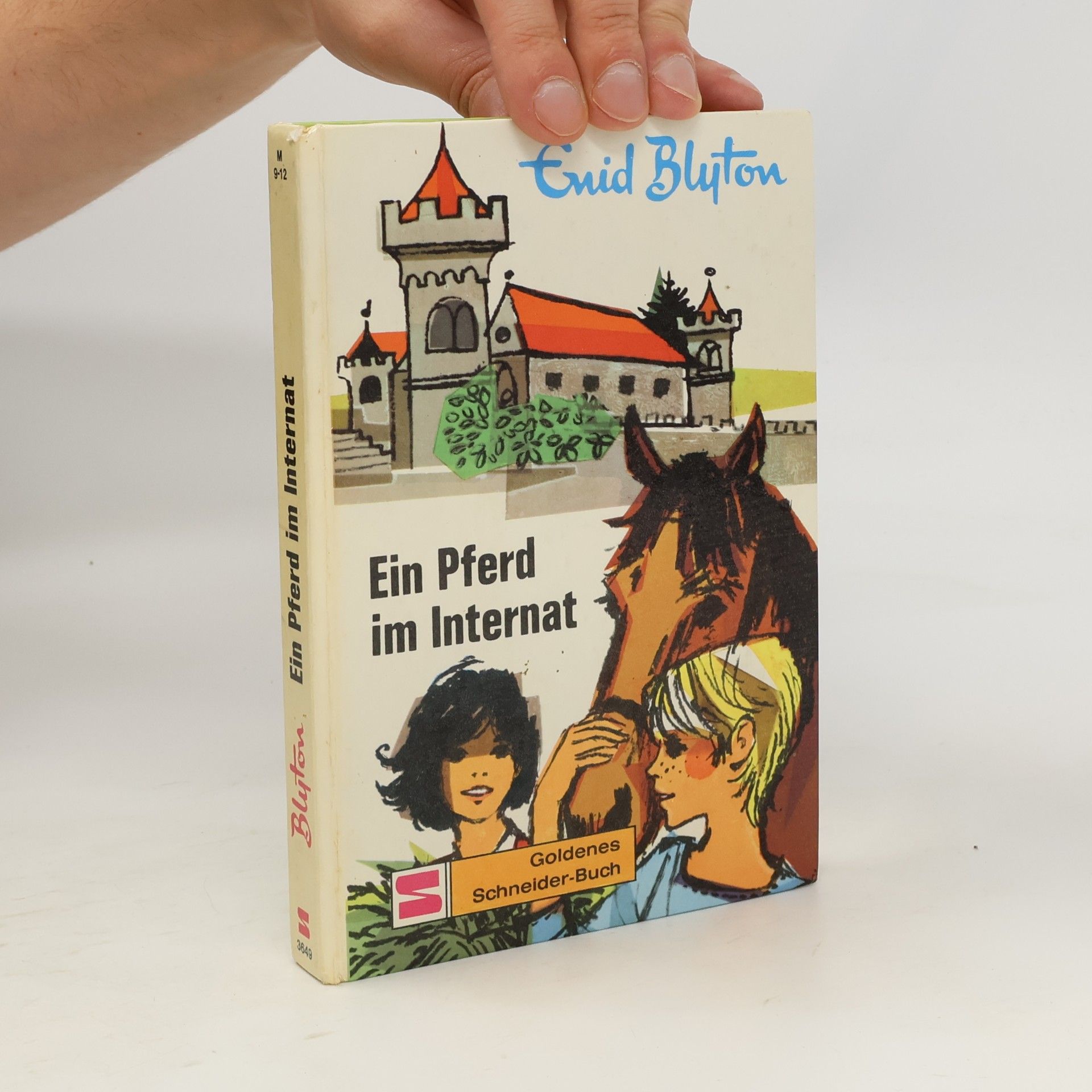 Enid Blyton Ein Pferd im Internat