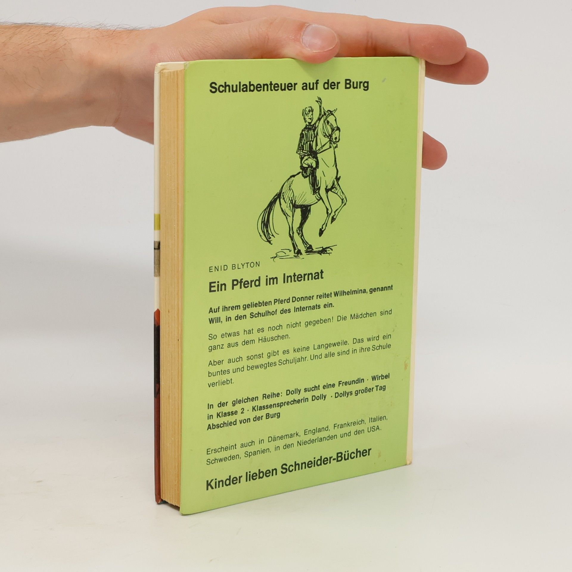 Enid Blyton Ein Pferd im Internat