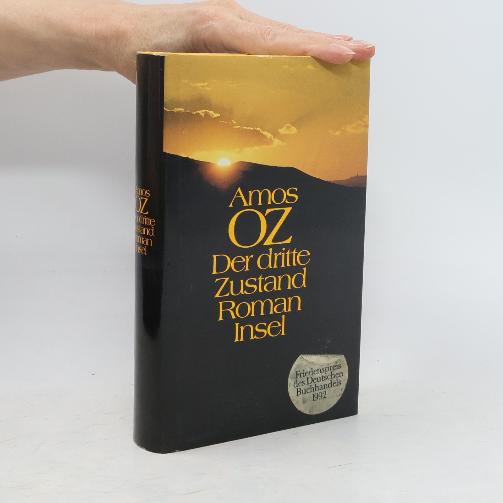 Amos Oz Der dritte Zustand