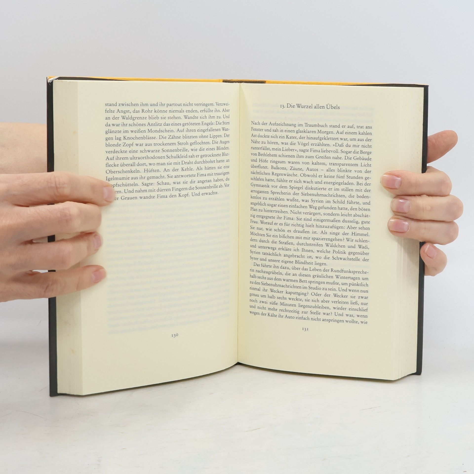 Amos Oz Der dritte Zustand