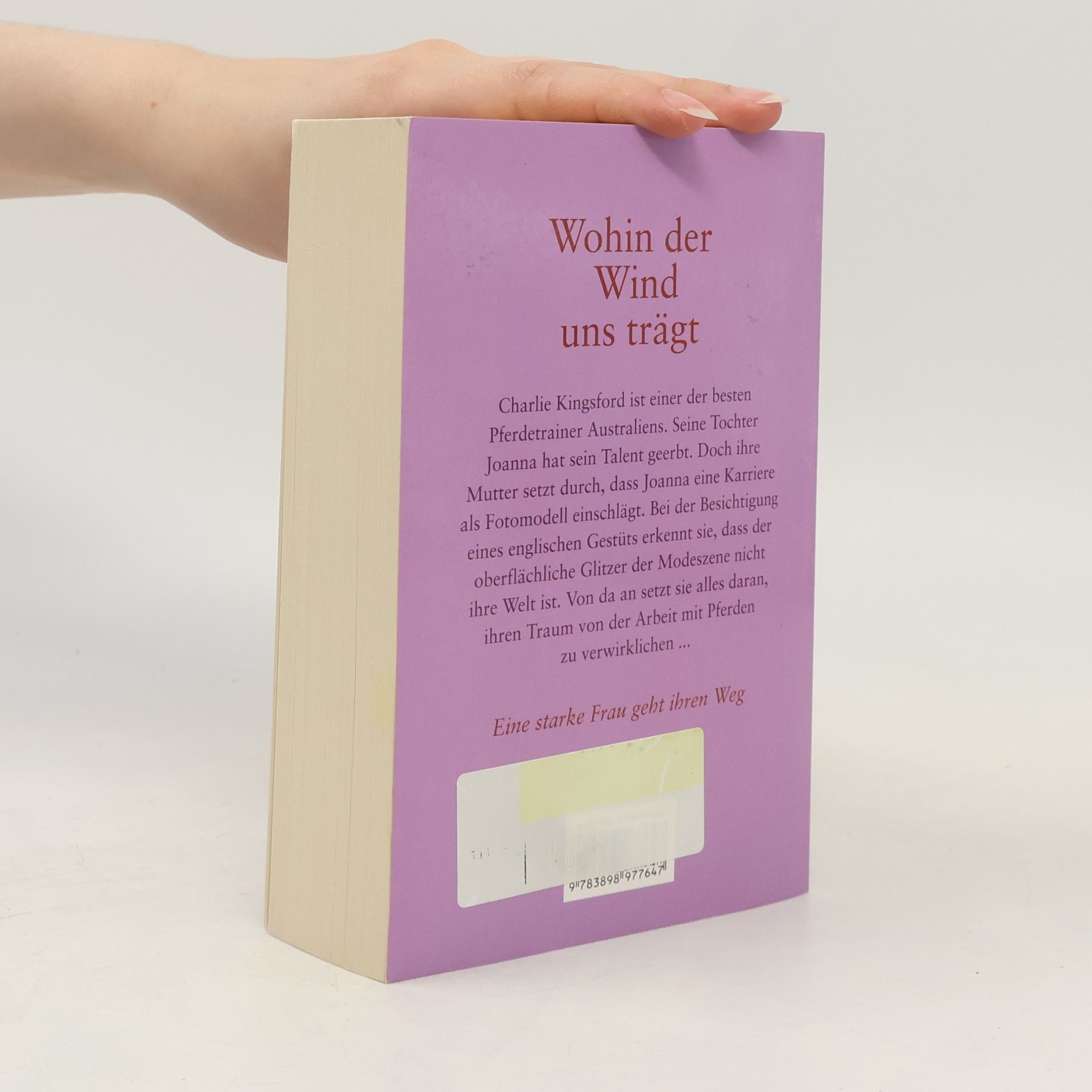 Anne McCullagh Rennie Wohin der Wind uns trägt