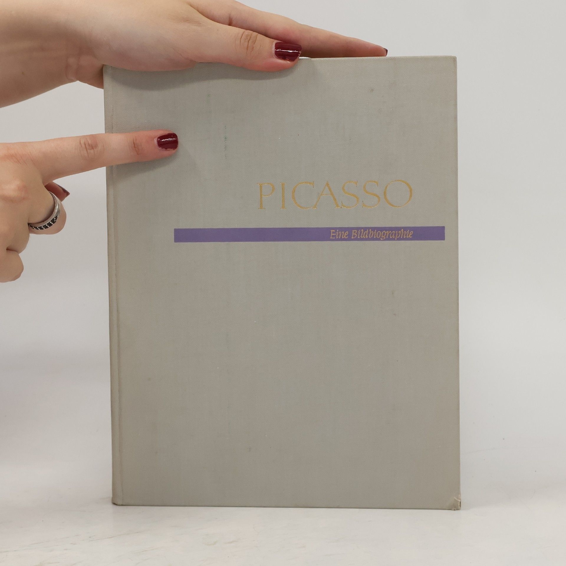 Lothar-Günther Buchheim Picasso. Eine Kindler Bildbiographie