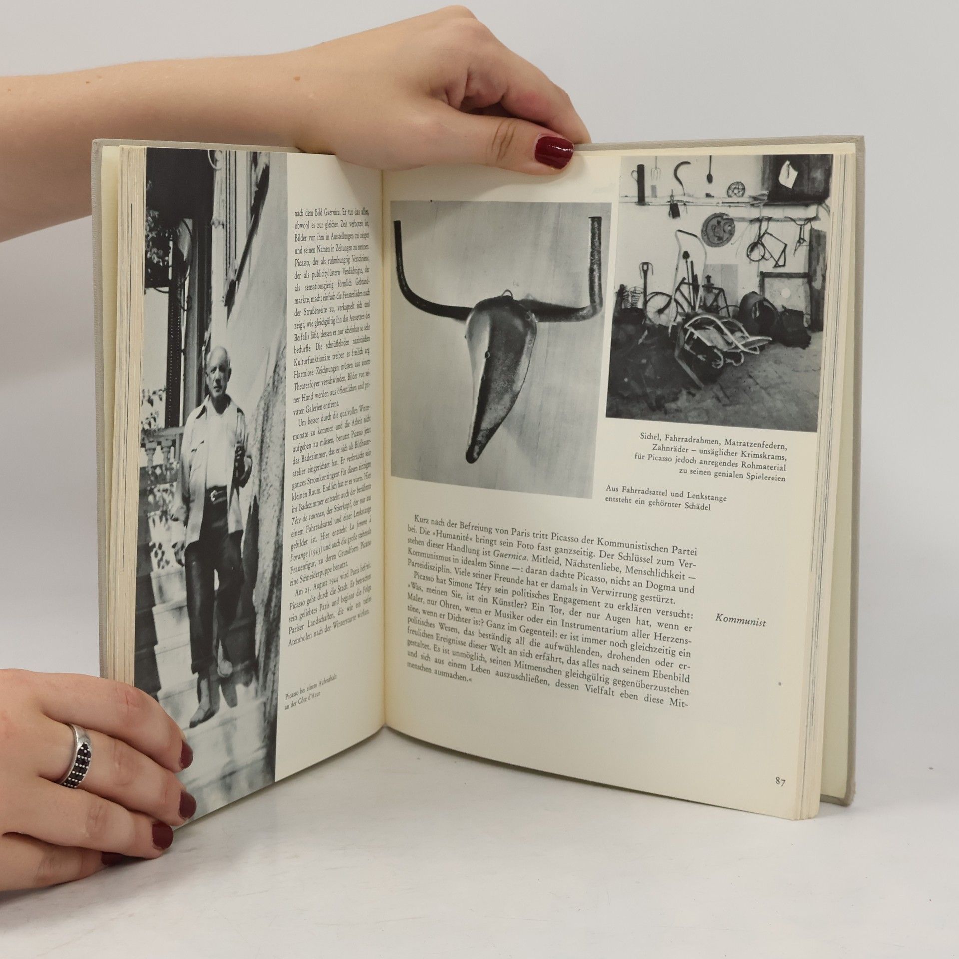 Lothar-Günther Buchheim Picasso. Eine Kindler Bildbiographie