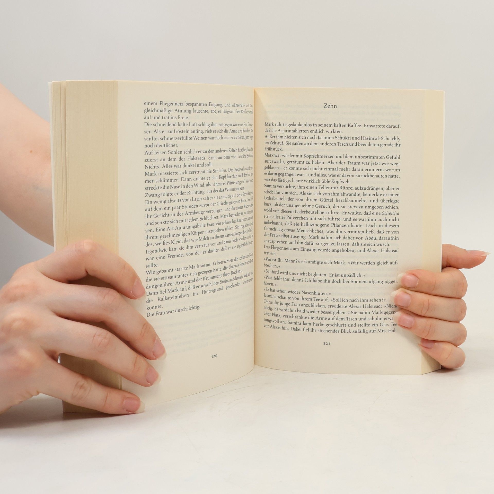 Barbara Wood Der Fluch der Schriftrollen