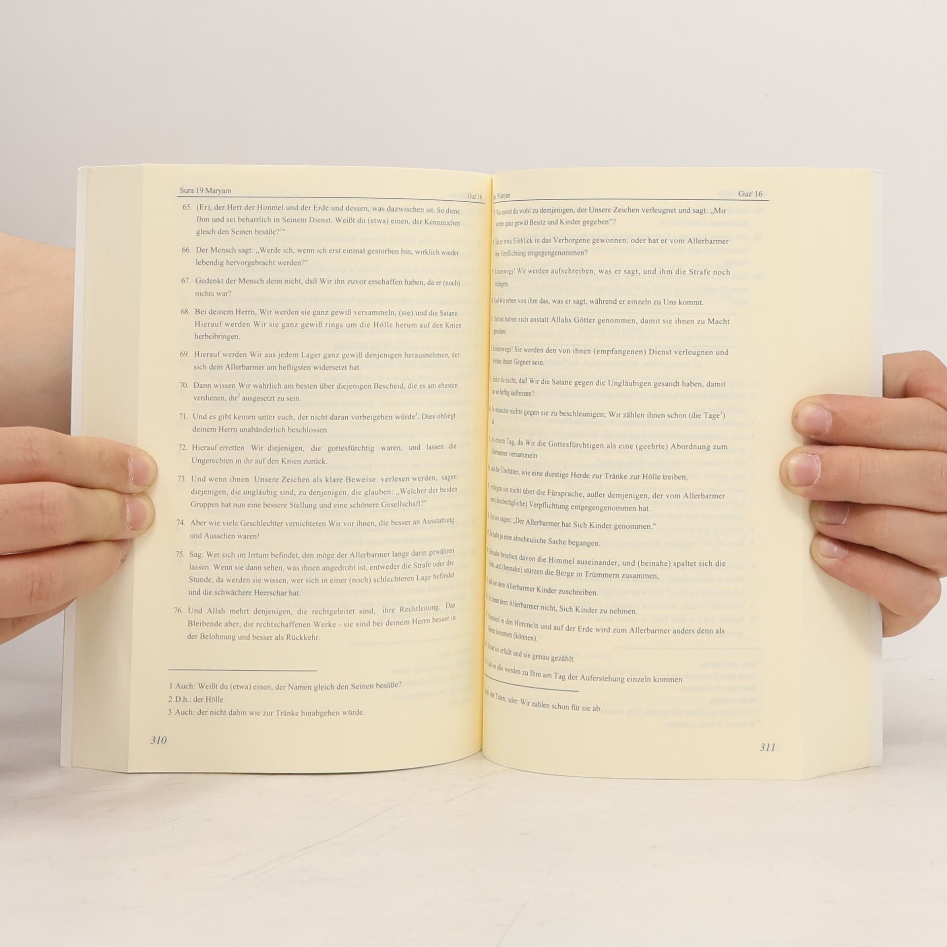 Kolektiv autorů Die Übersetzung des Glorreichen Koran's