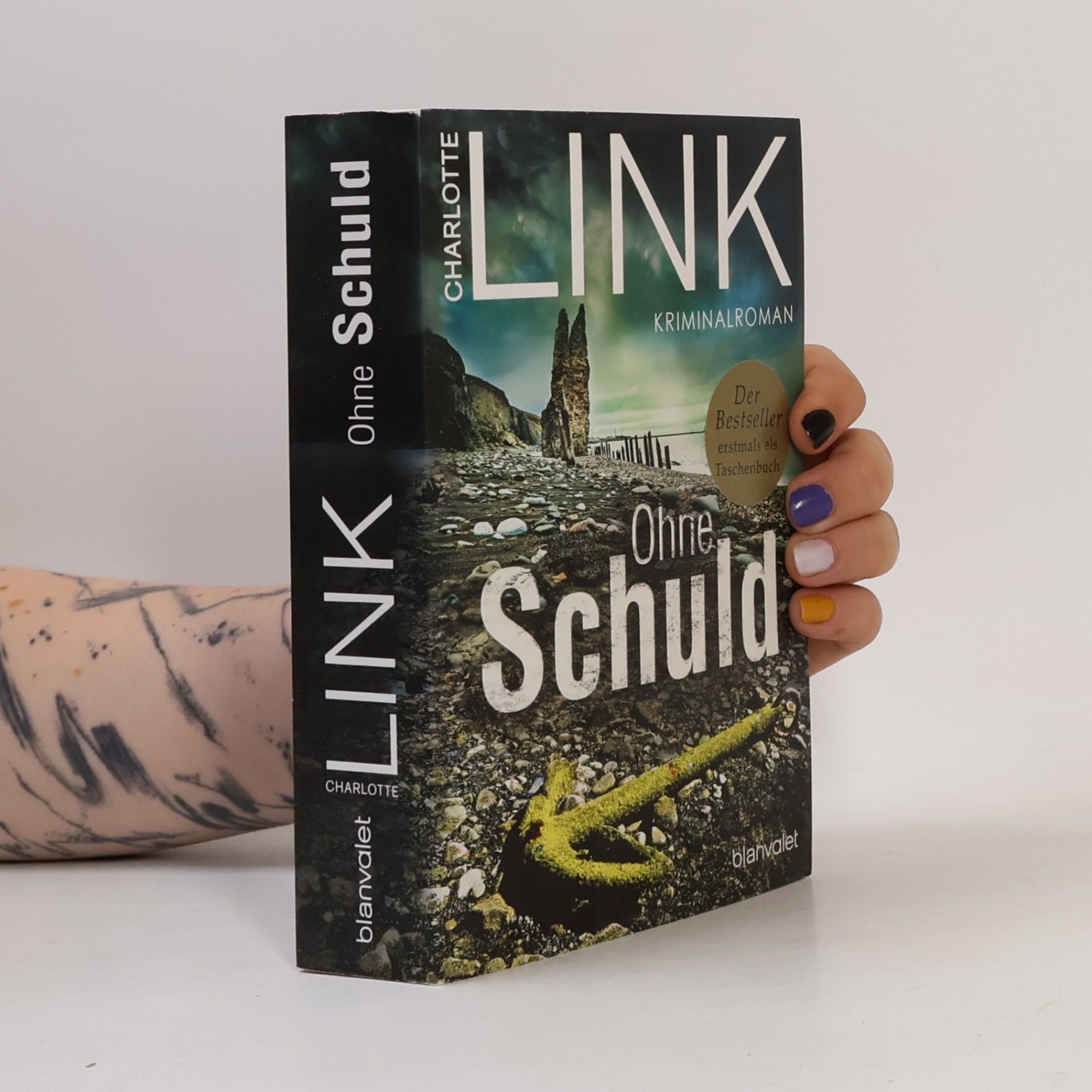 Charlotte Link Ohne Schuld