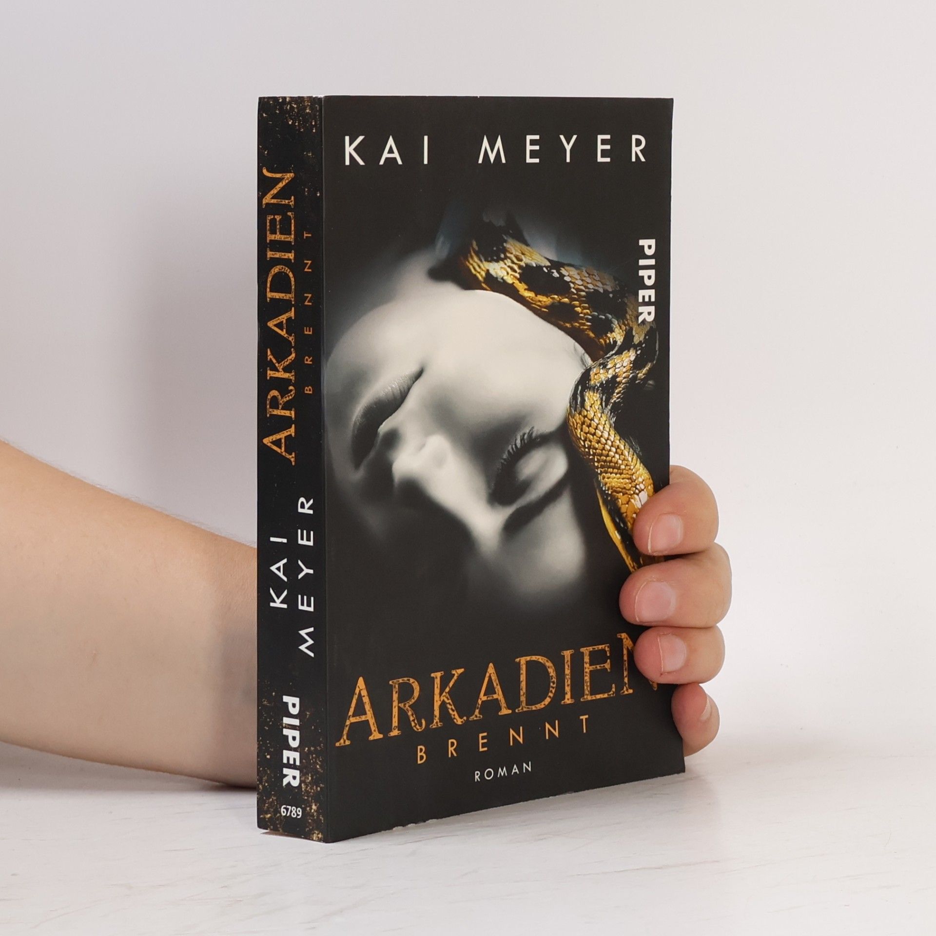 Kai Meyer Arkadien brennt