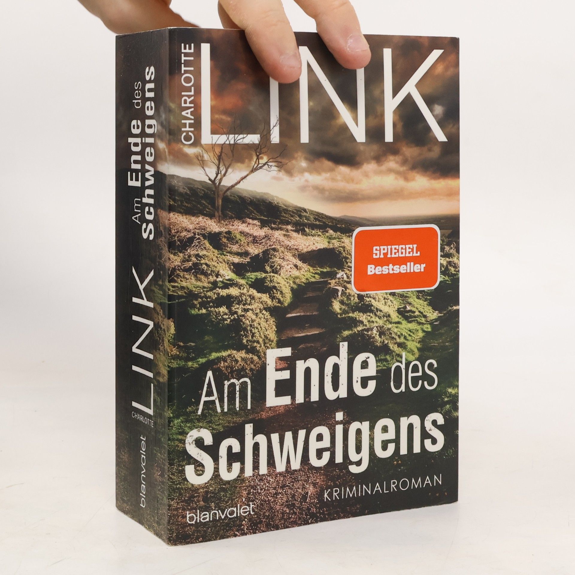 Charlotte Link Am Ende des Schweigens
