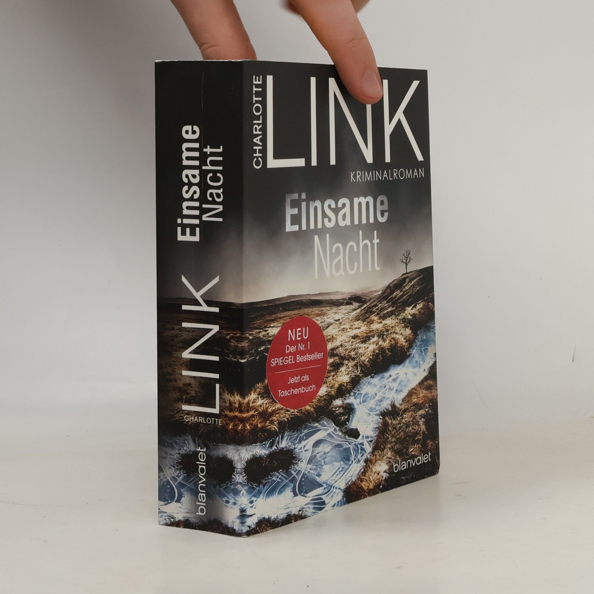 Charlotte Link Einsame Nacht
