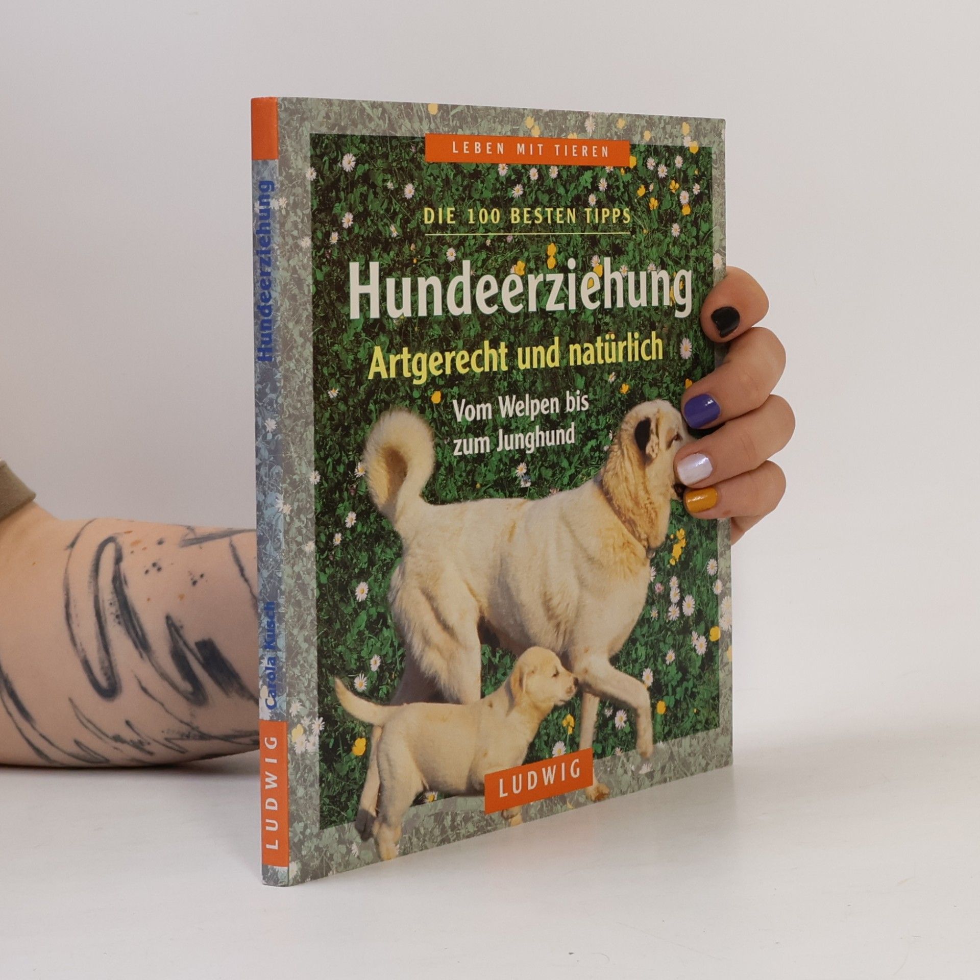 Carola Kusch Hundeerziehung