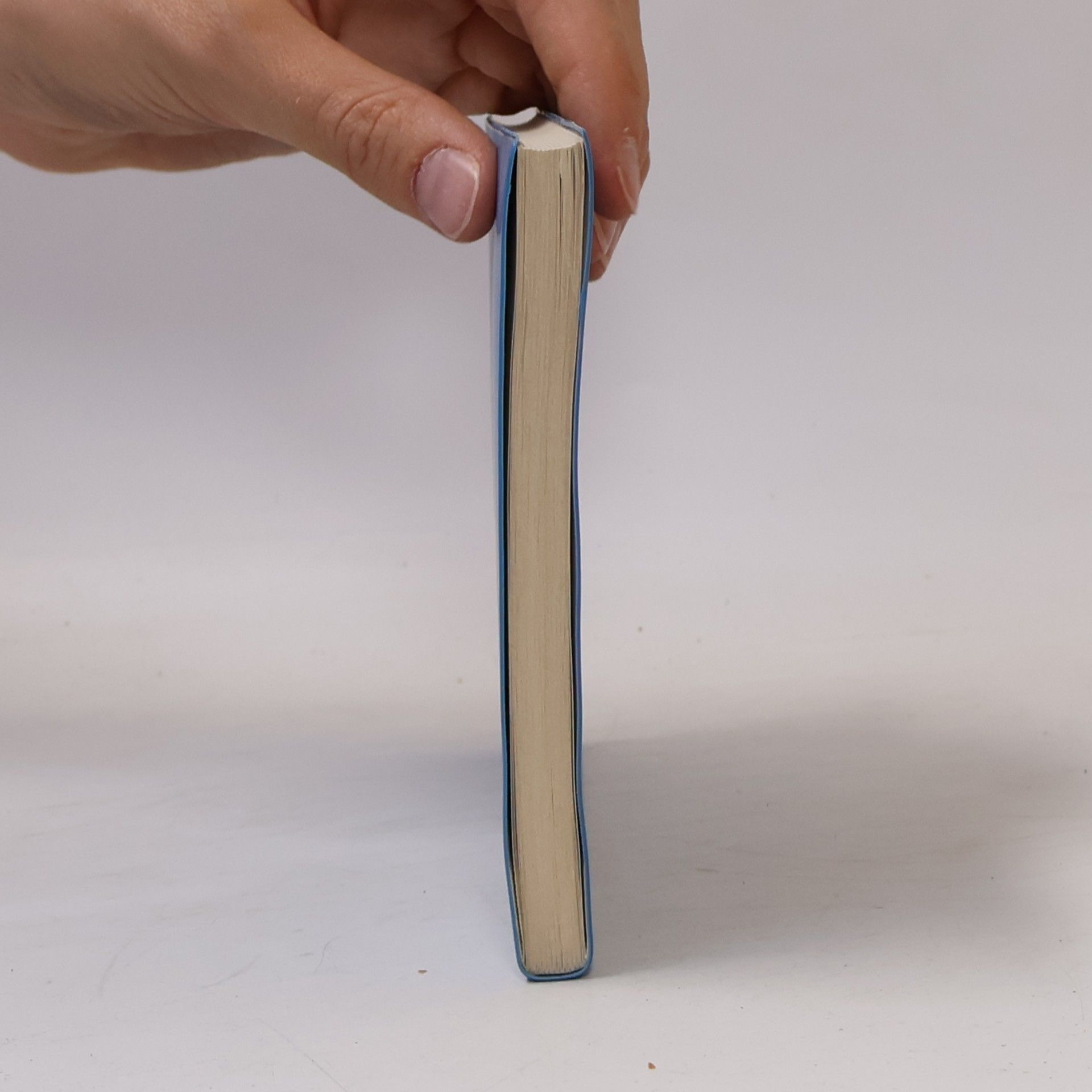 Karl Kunze Grundwissen Deutsche Literatur