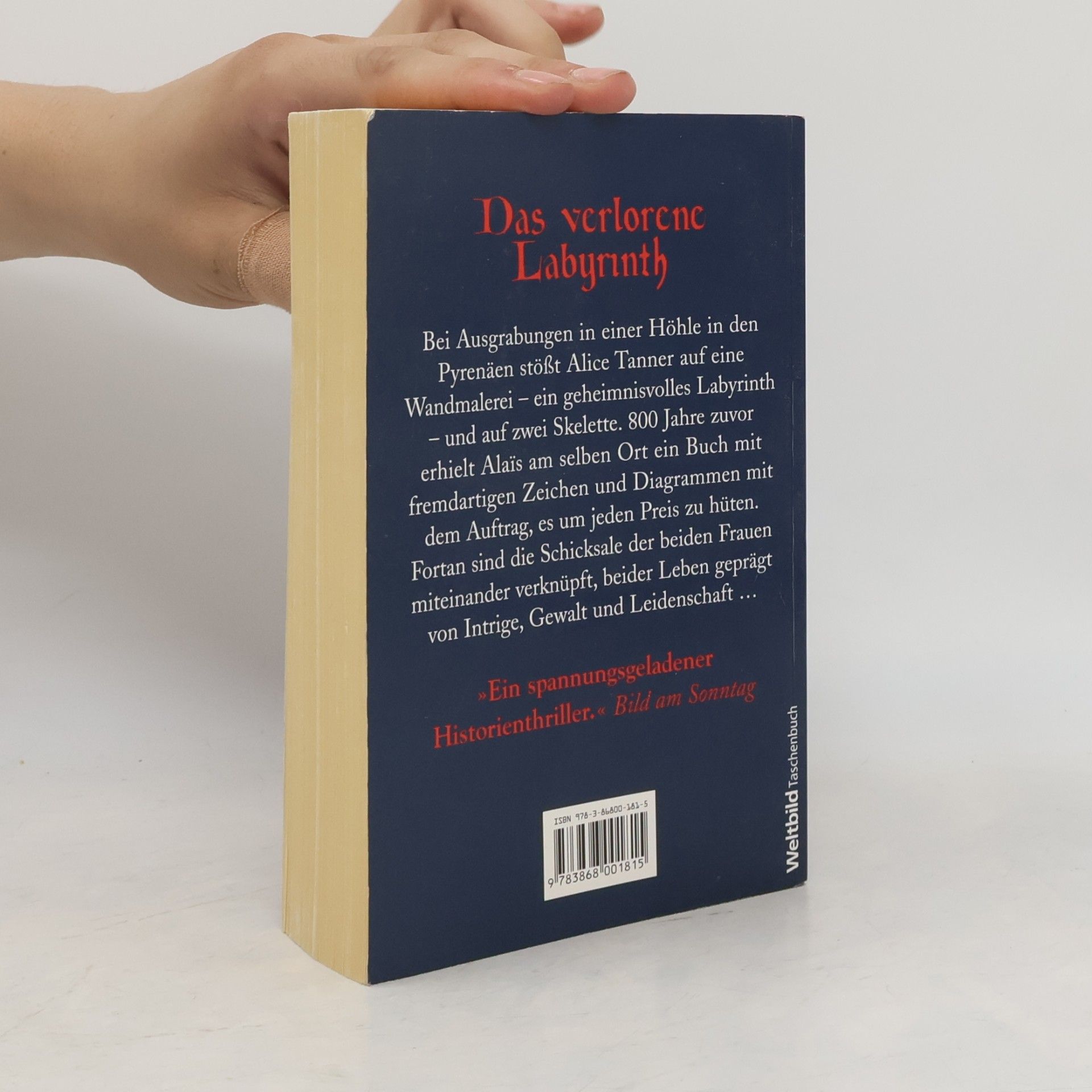 Kate Mosse Das verlorene Labyrinth