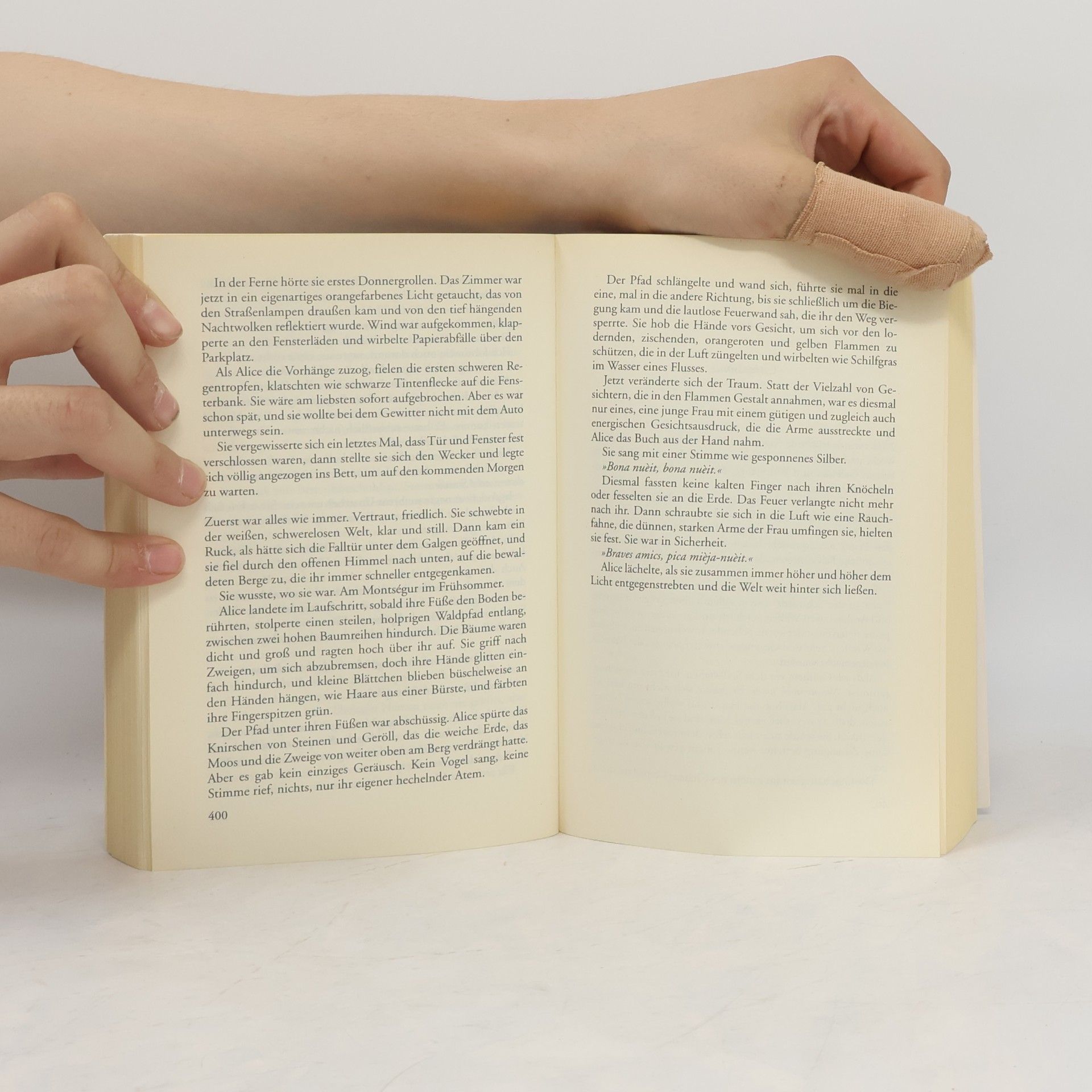 Kate Mosse Das verlorene Labyrinth