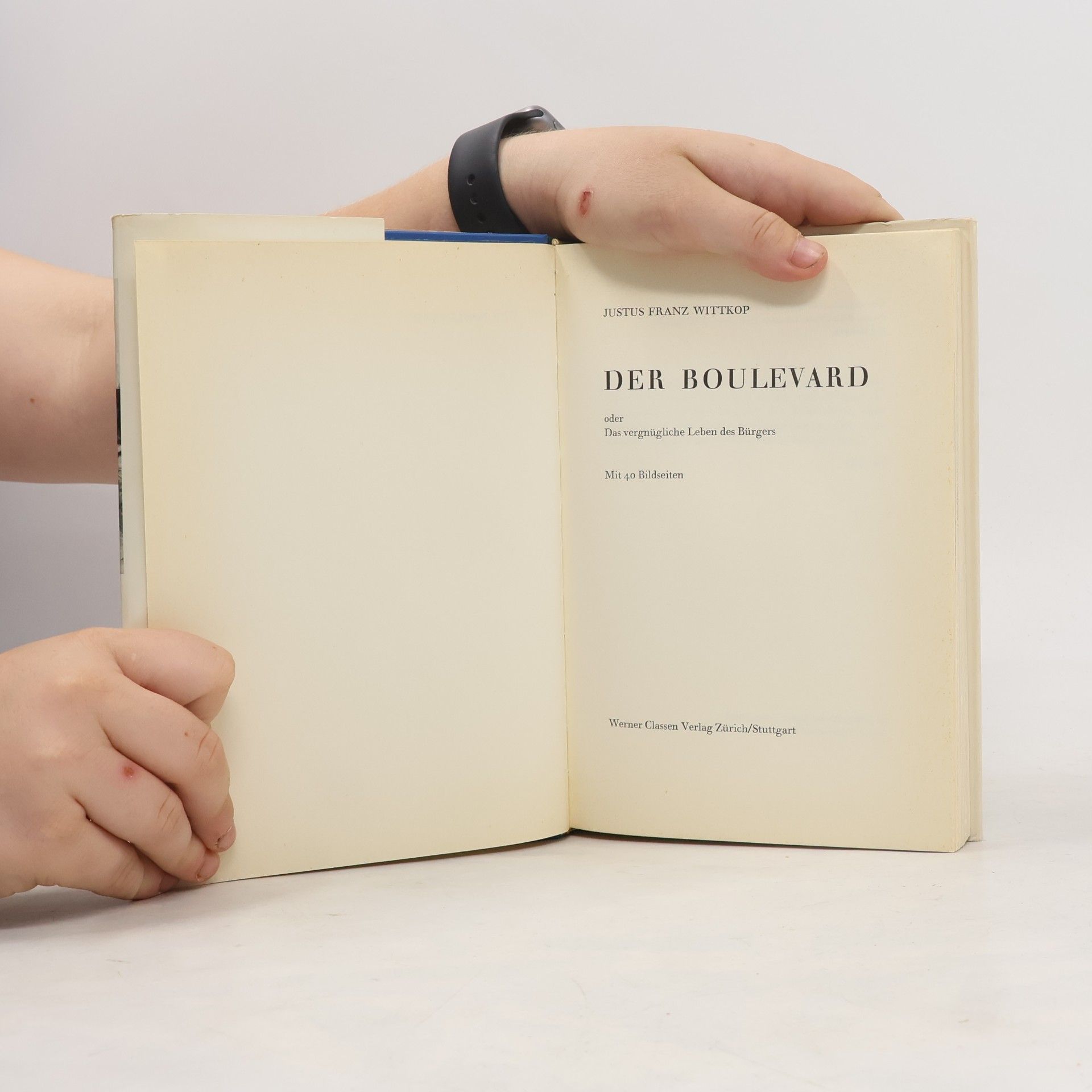 J. F. Wittkop Der Boulevard