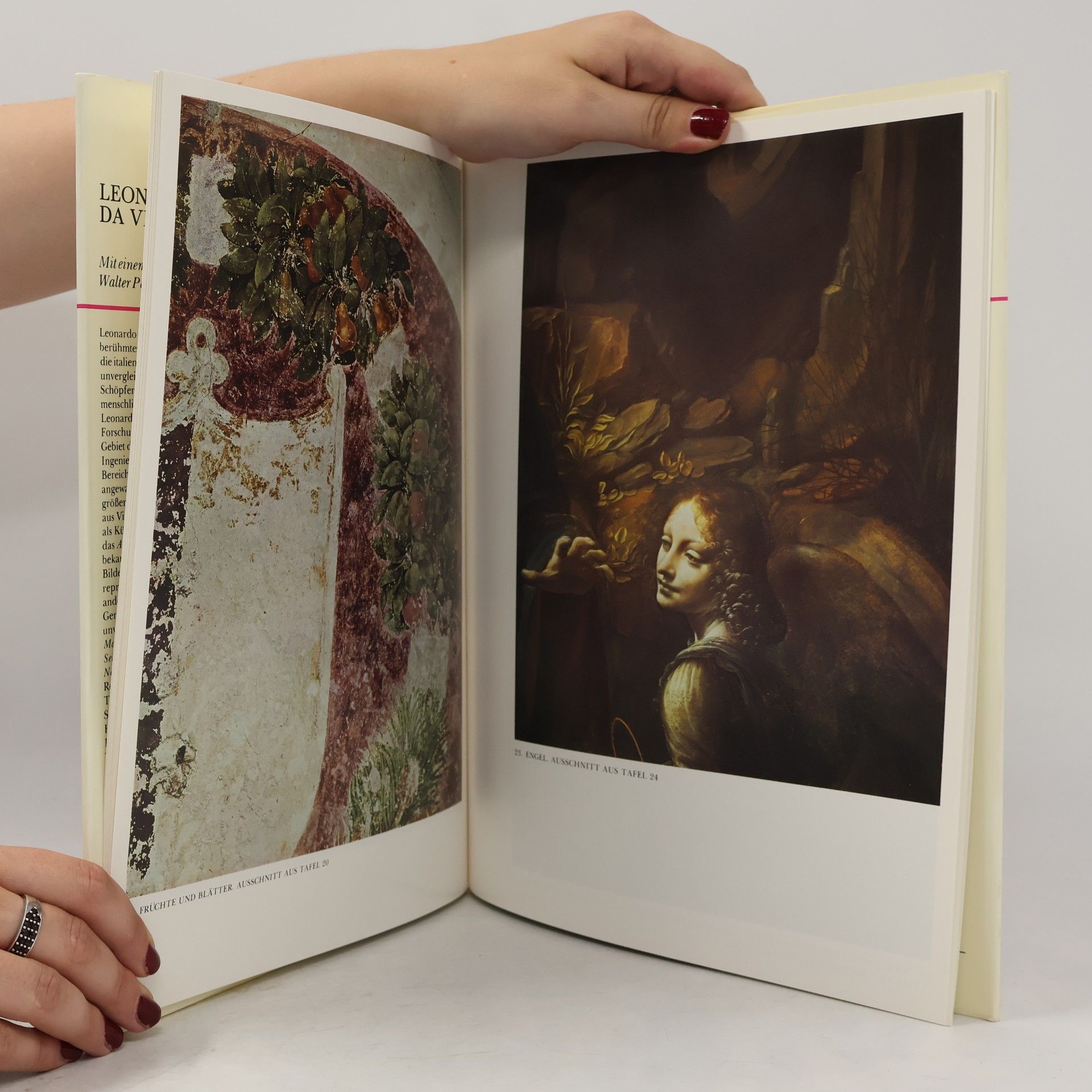 Walter Pater Leonardo da Vinci mit 48 bildtafeln