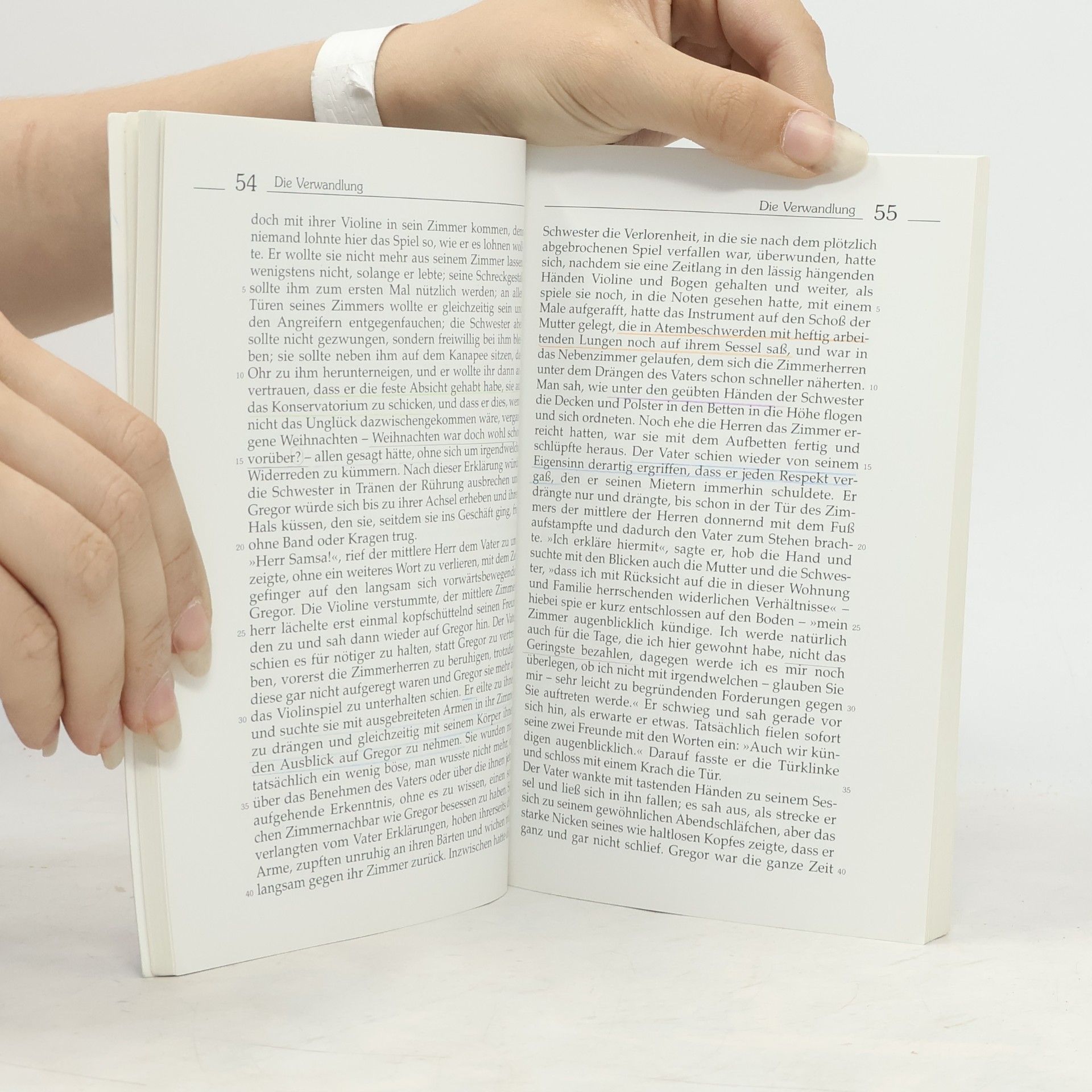 Franz Kafka Die Verwandlung, Brief an den Vater und weitere Werke