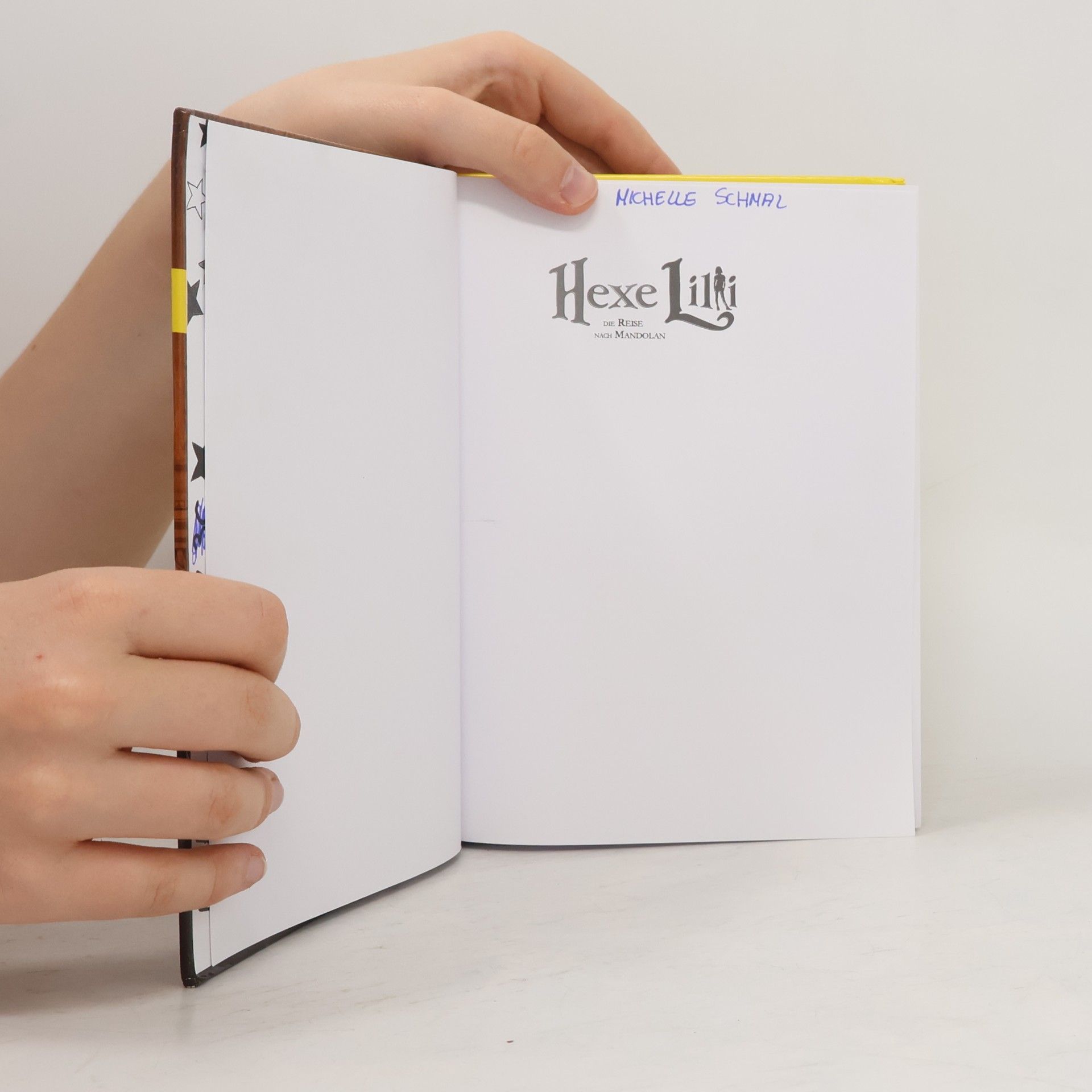 Knister Hexe Lilli - die Reise nach Mandolan