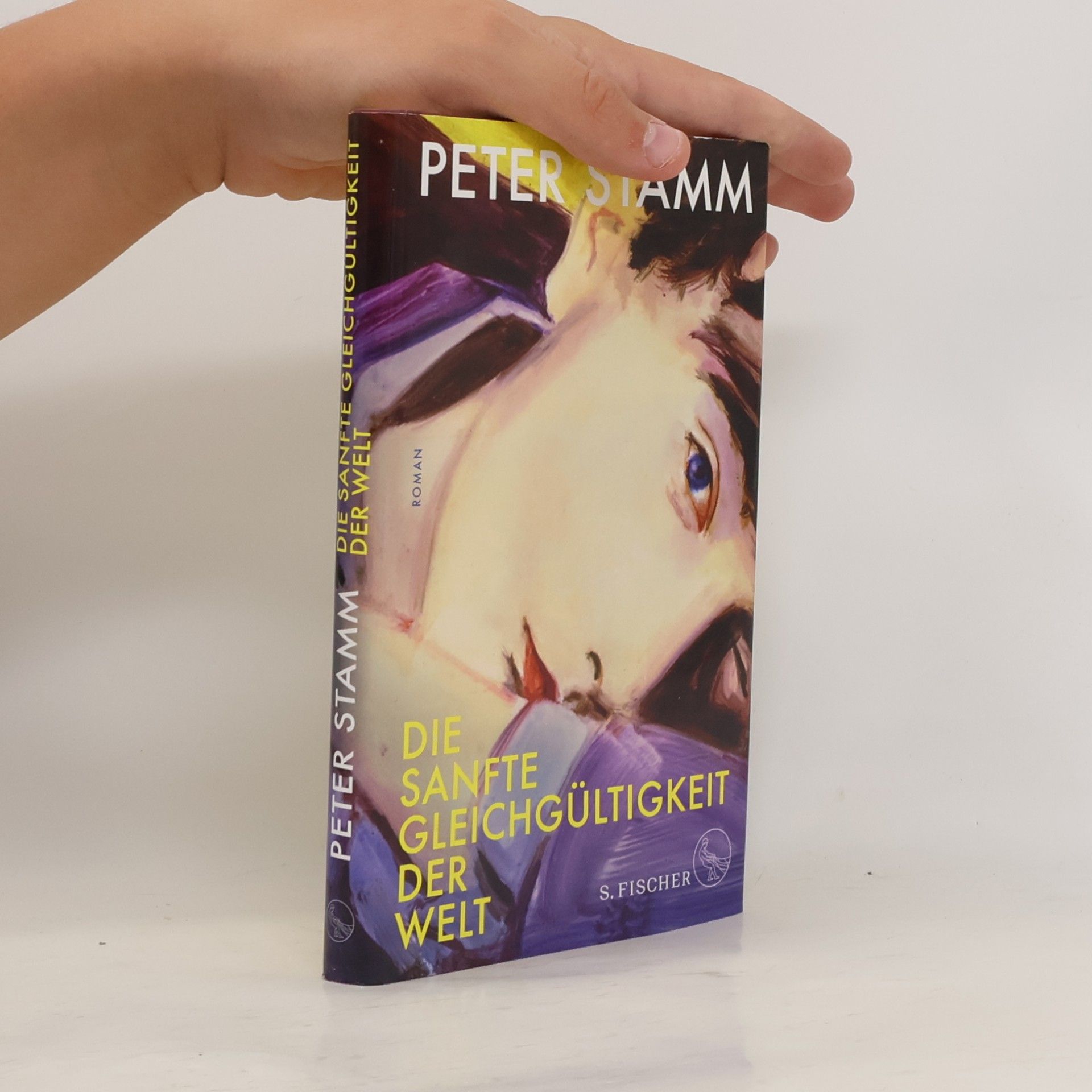 Peter Stamm Die sanfte Gleichgültigkeit der Welt