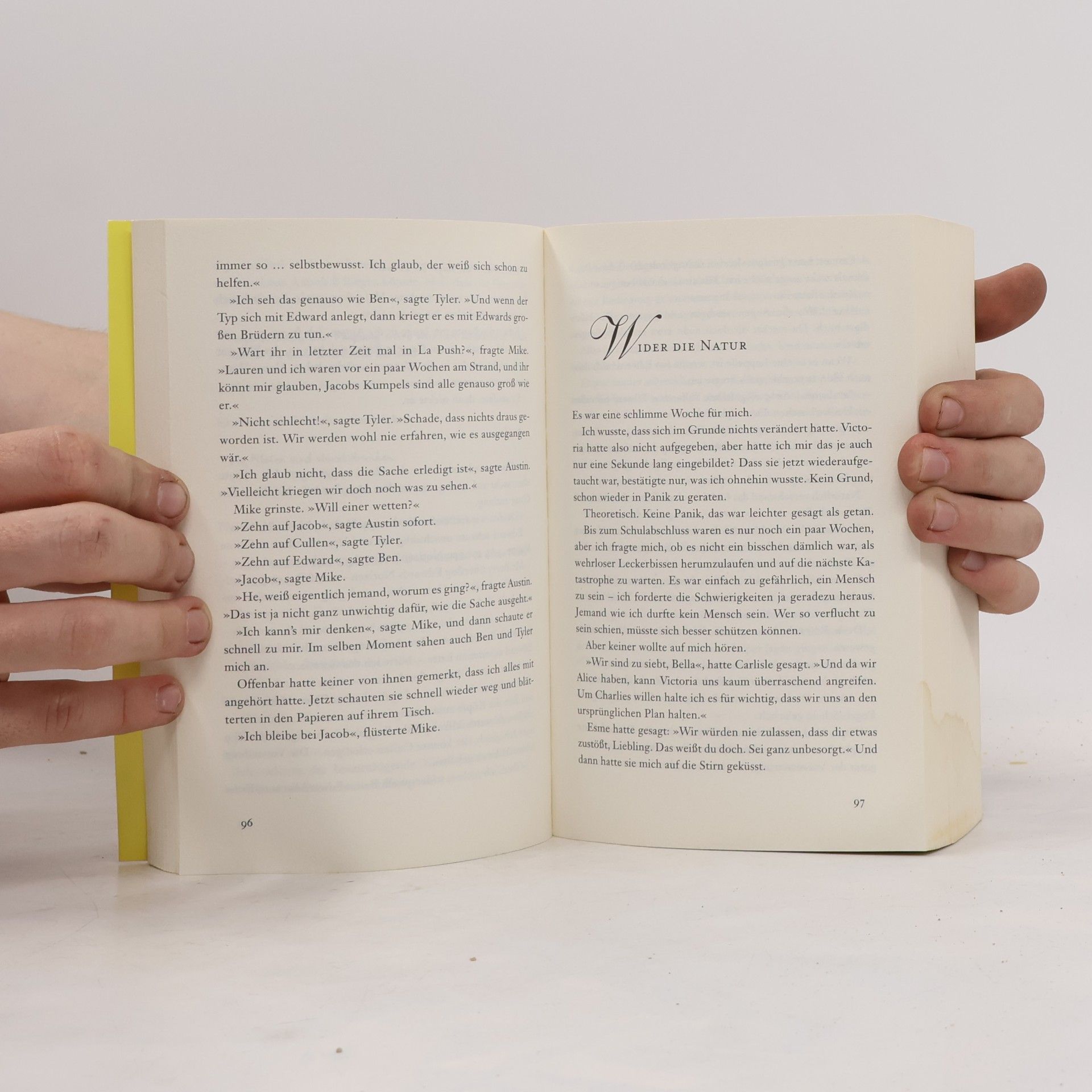 Stephenie Meyer Biss zum Abendrot