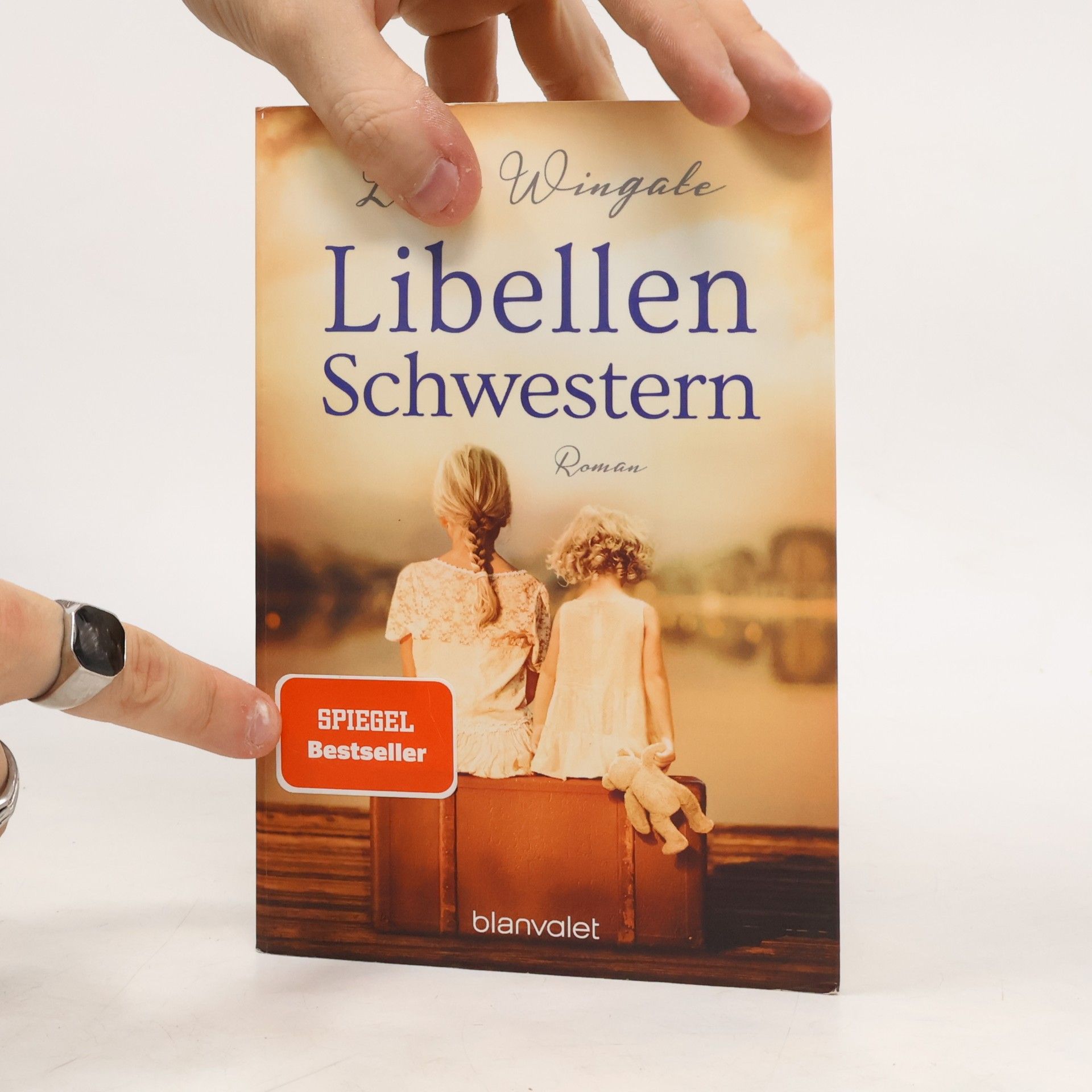 Lisa Wingate Libellenschwestern