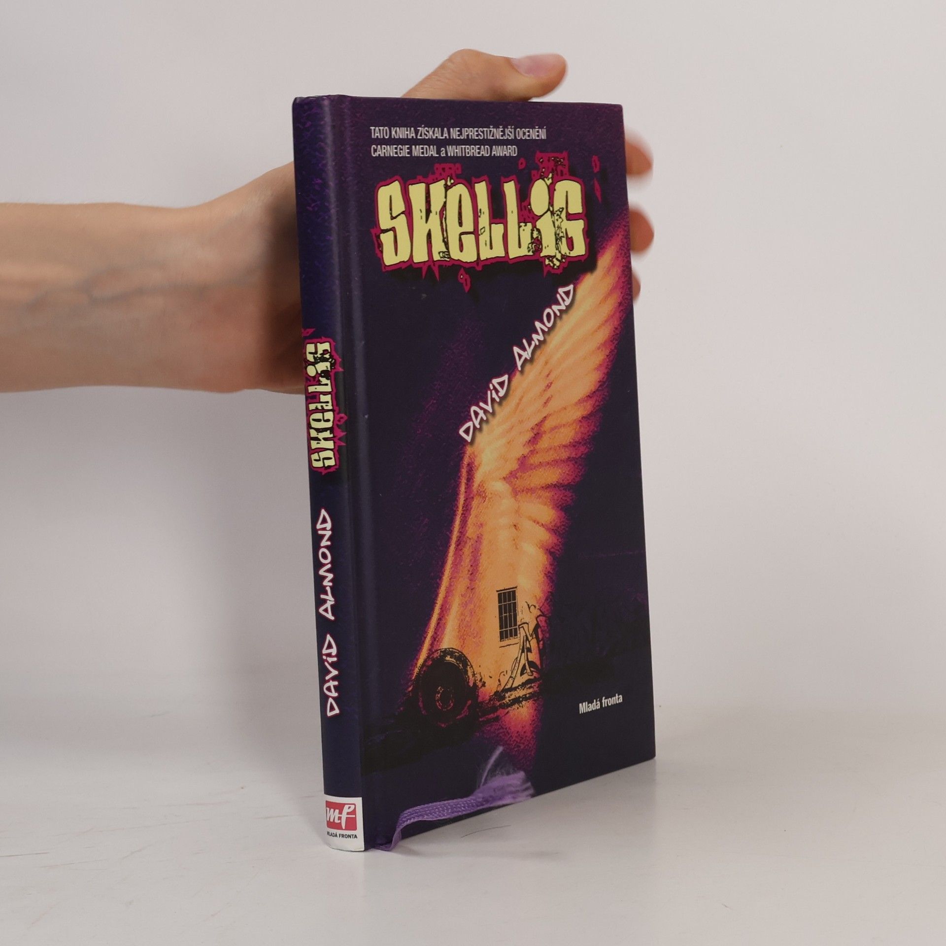 David Almond Skellig