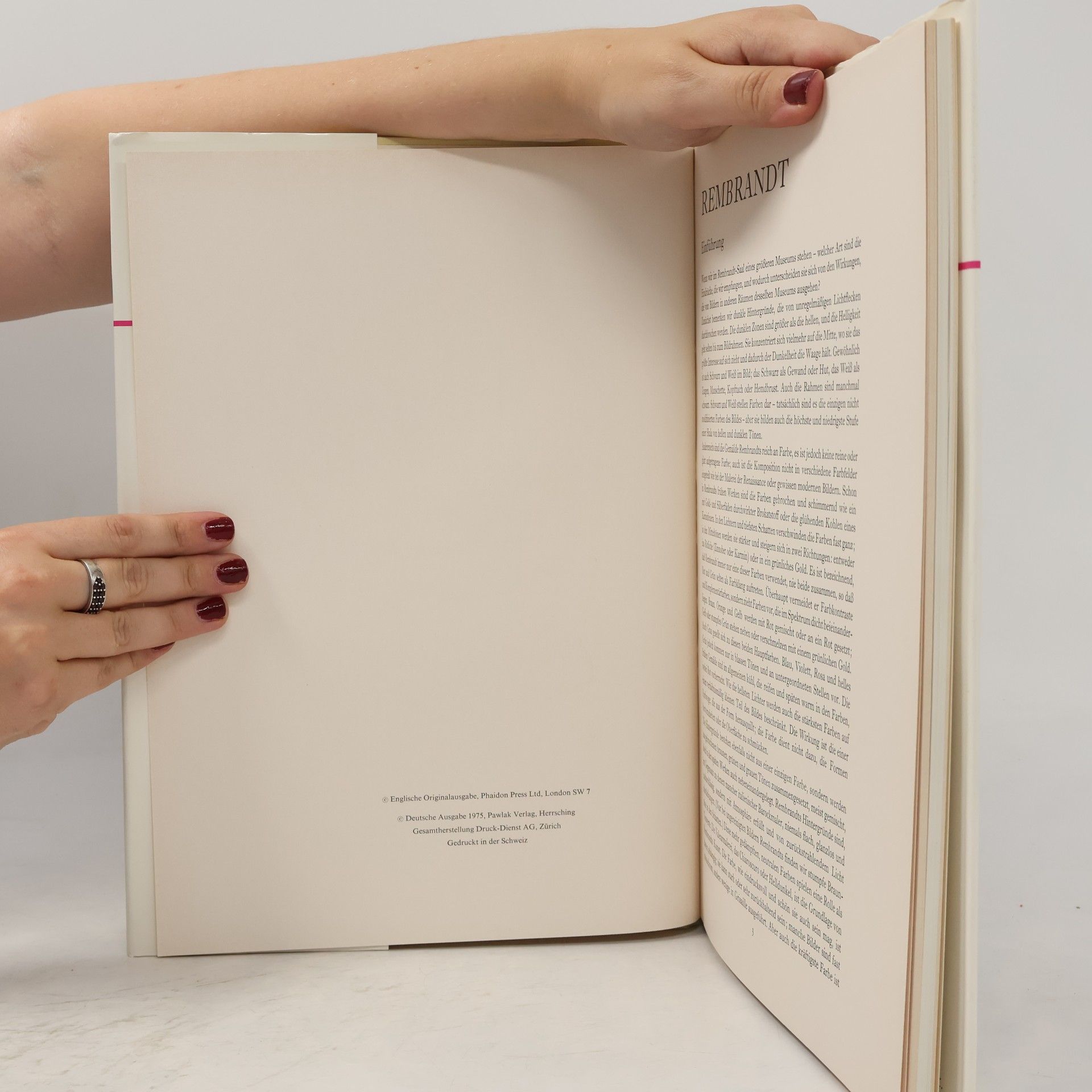 Autorenkollektiv Rembrant mit 48 Farbtafeln