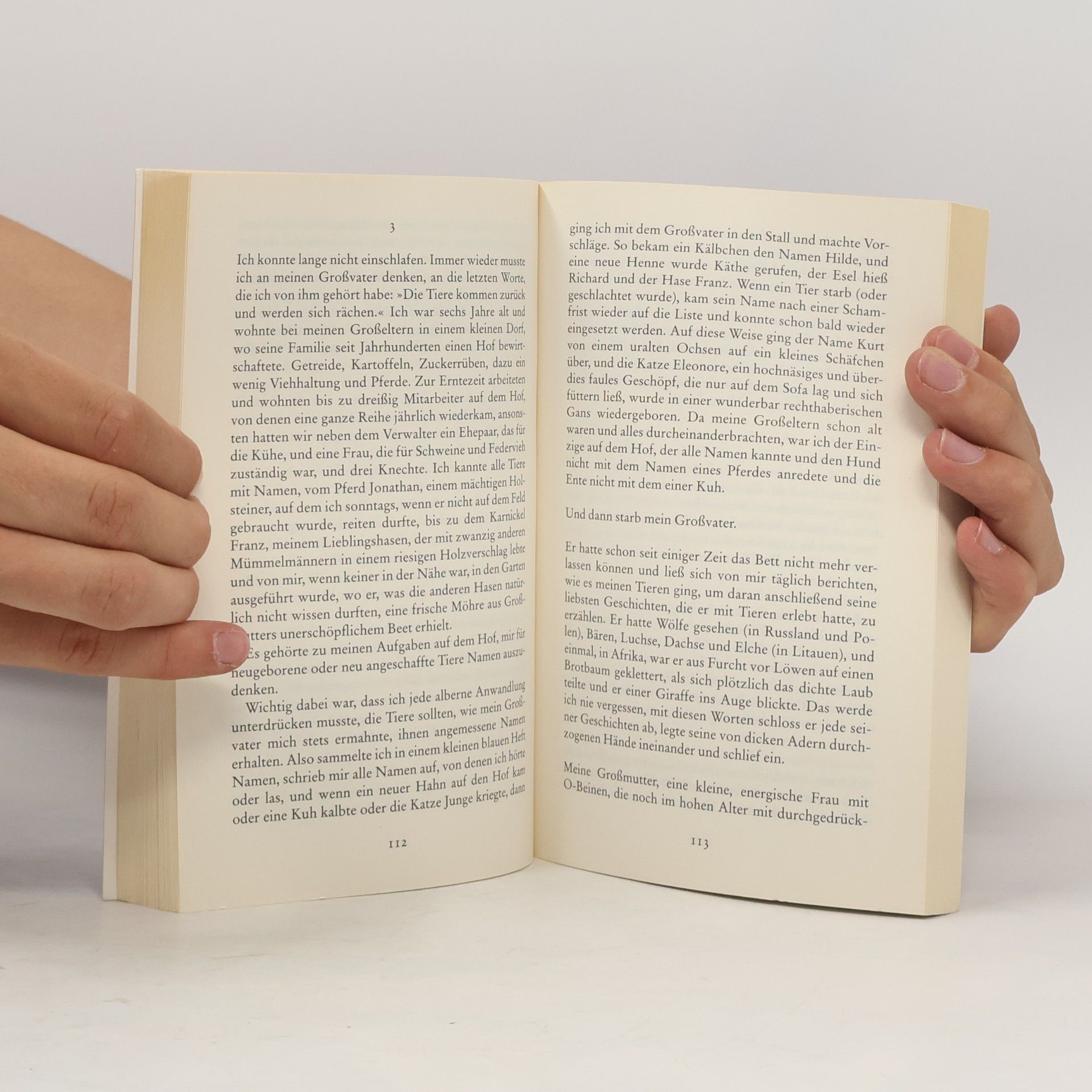 Karoline Adler Urlaubslesebuch