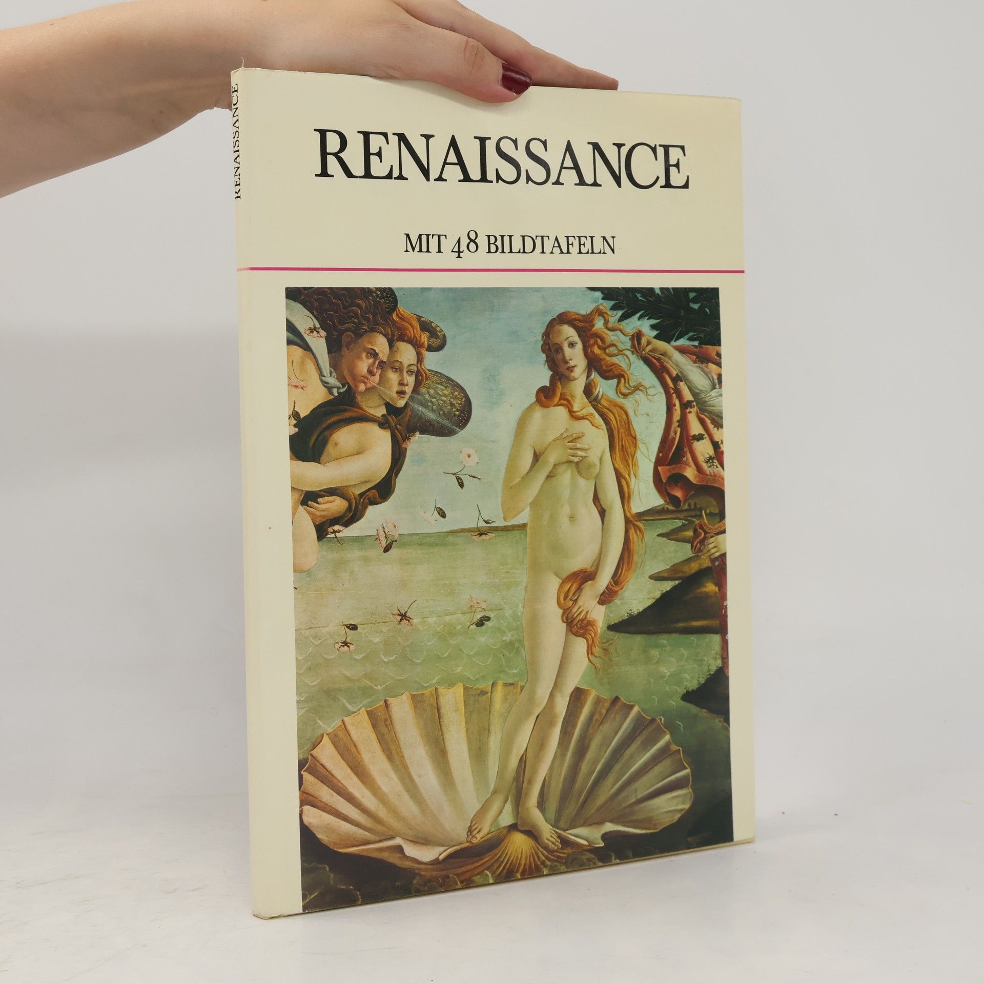 Kolektiv autorů Renaissance mit 48 Bildtafeln