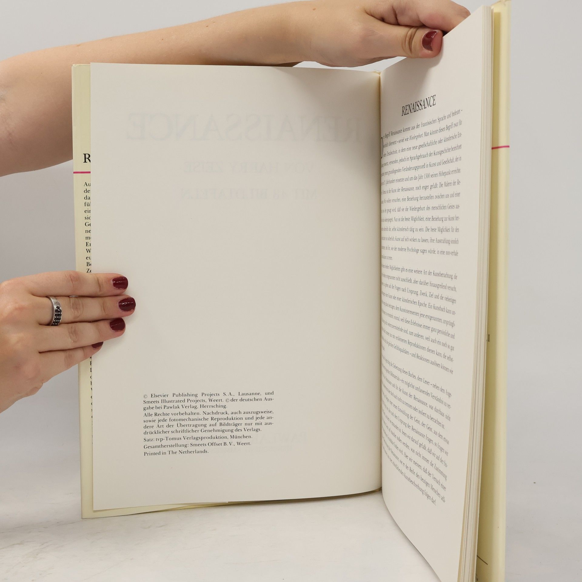 Various authors Renaissance mit 48 Bildtafeln