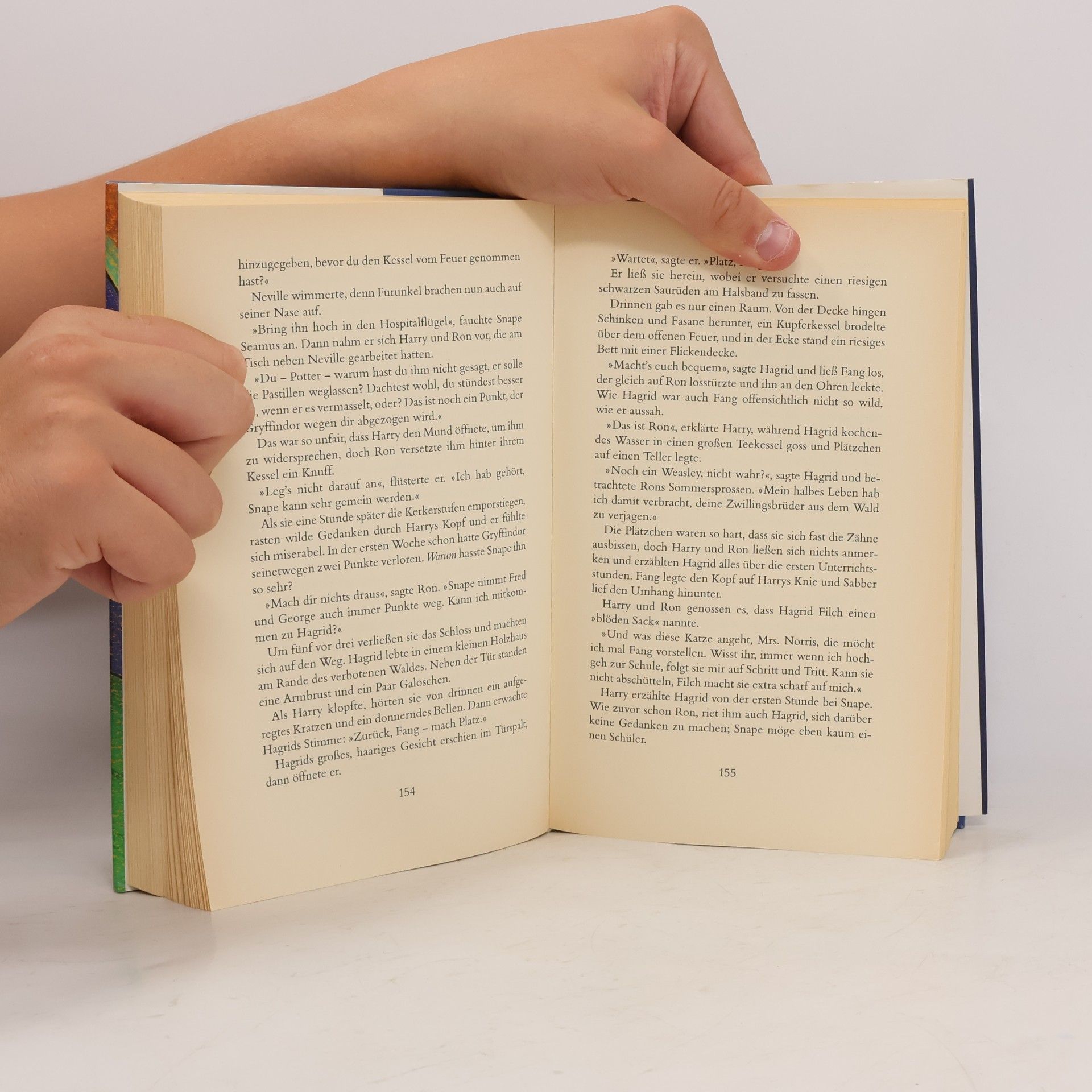 J. K. Rowling Harry Potter und der Stein der Weisen