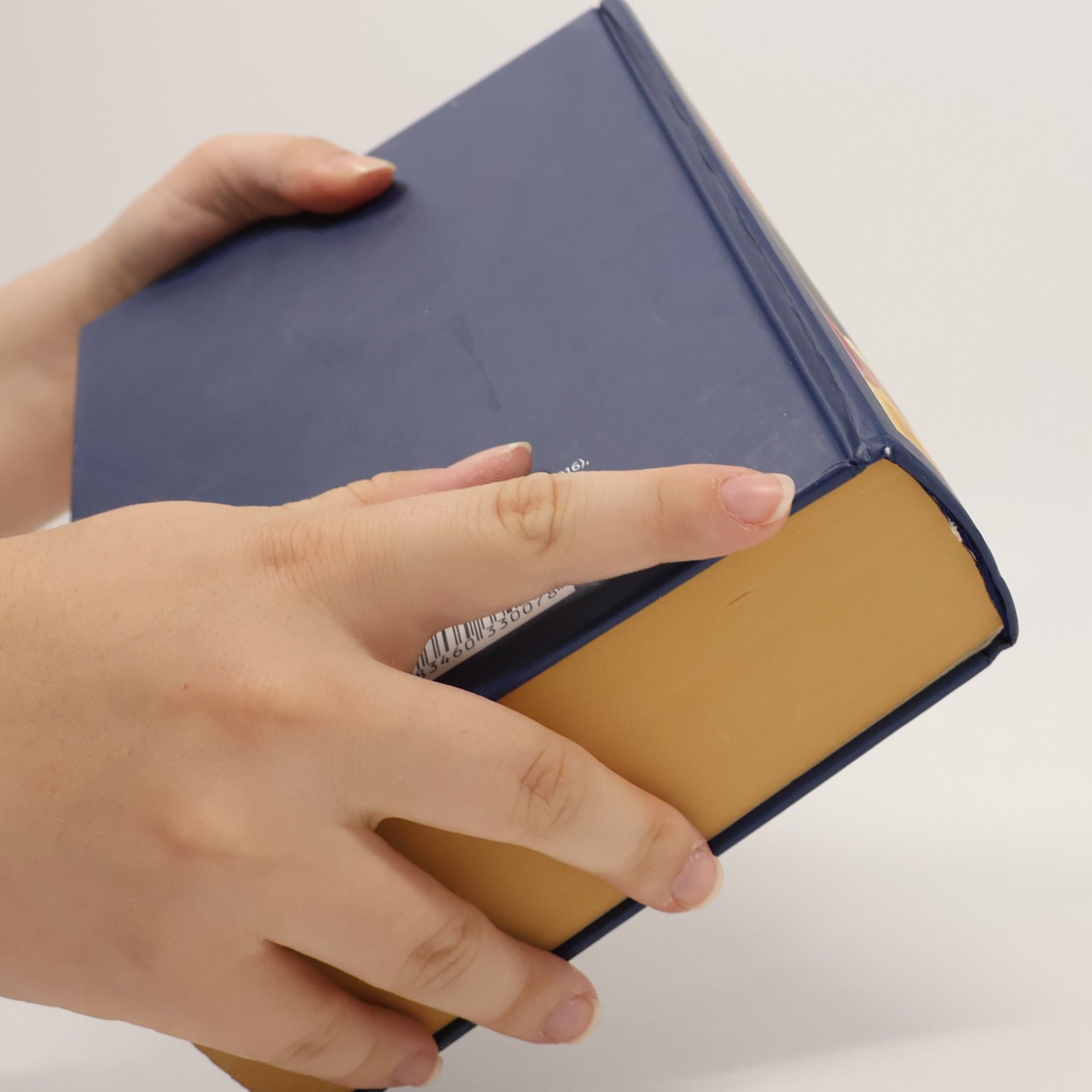 Autores varios Die Bibel. Einheitsübersetzung der Heiligen Schrift