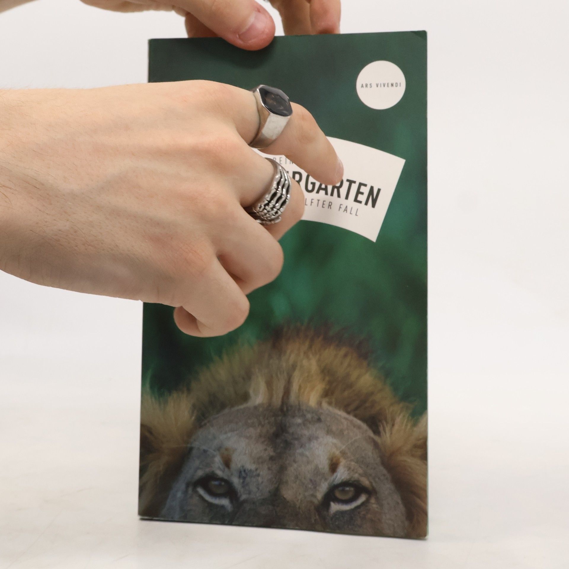 Jan Beinßen Paul Flemming - 11: Tod im Tiergarten
