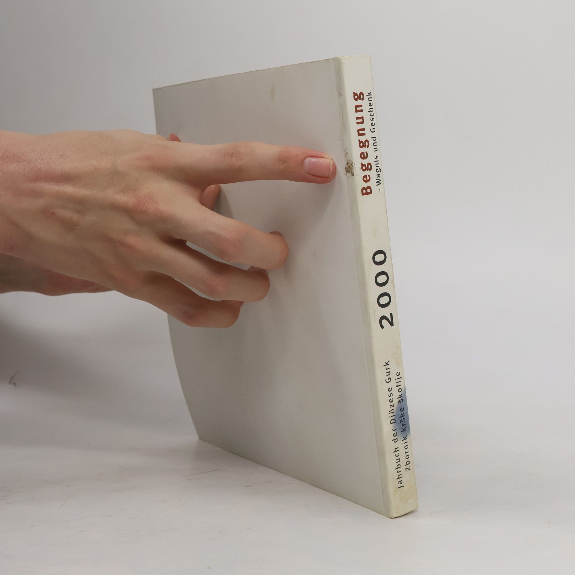 Autorenkollektiv Jahrbuch der Diözese Gurk - Zbornik krške škofije 2000